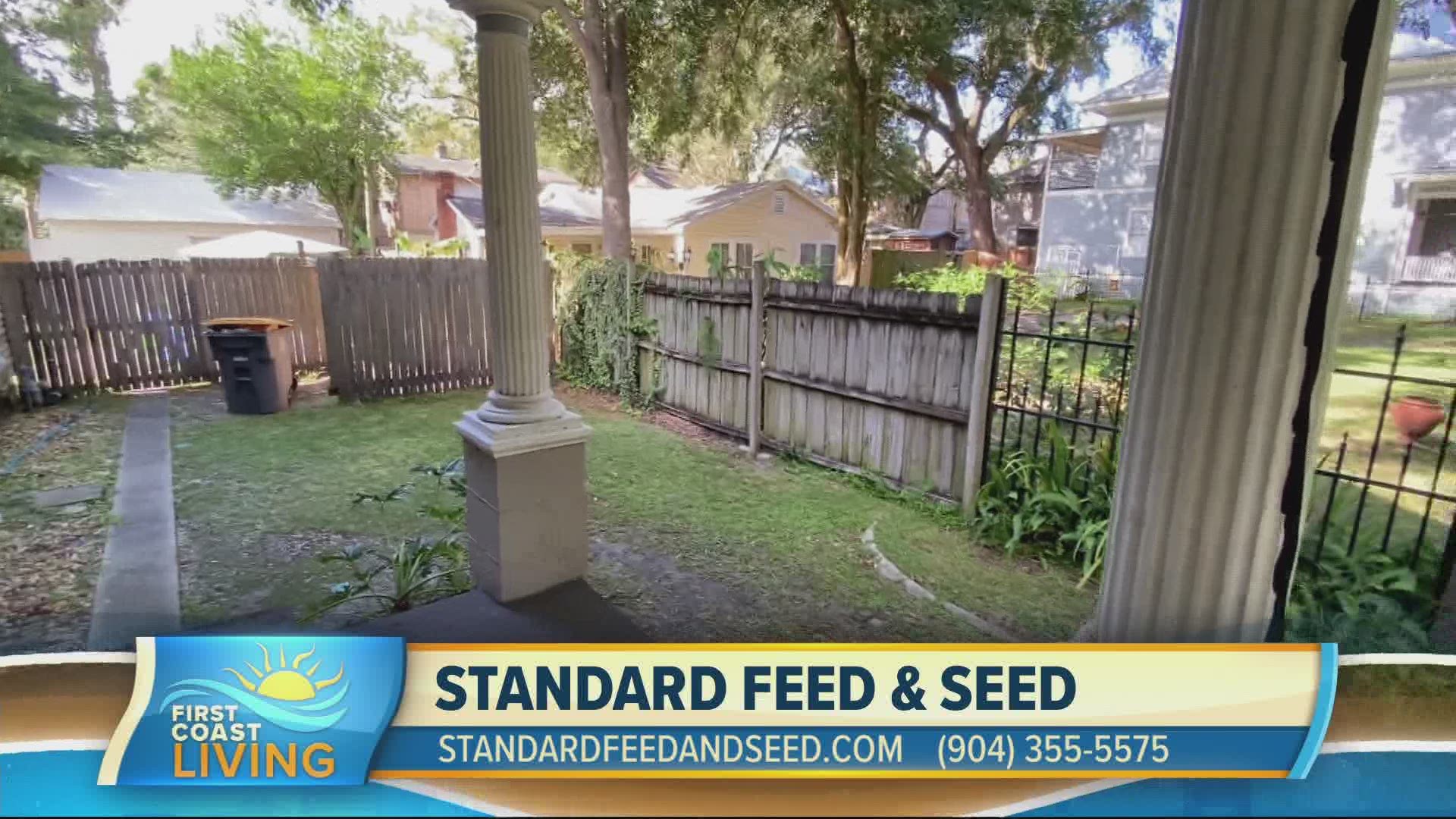 See how Standard Feed & Seed can help!