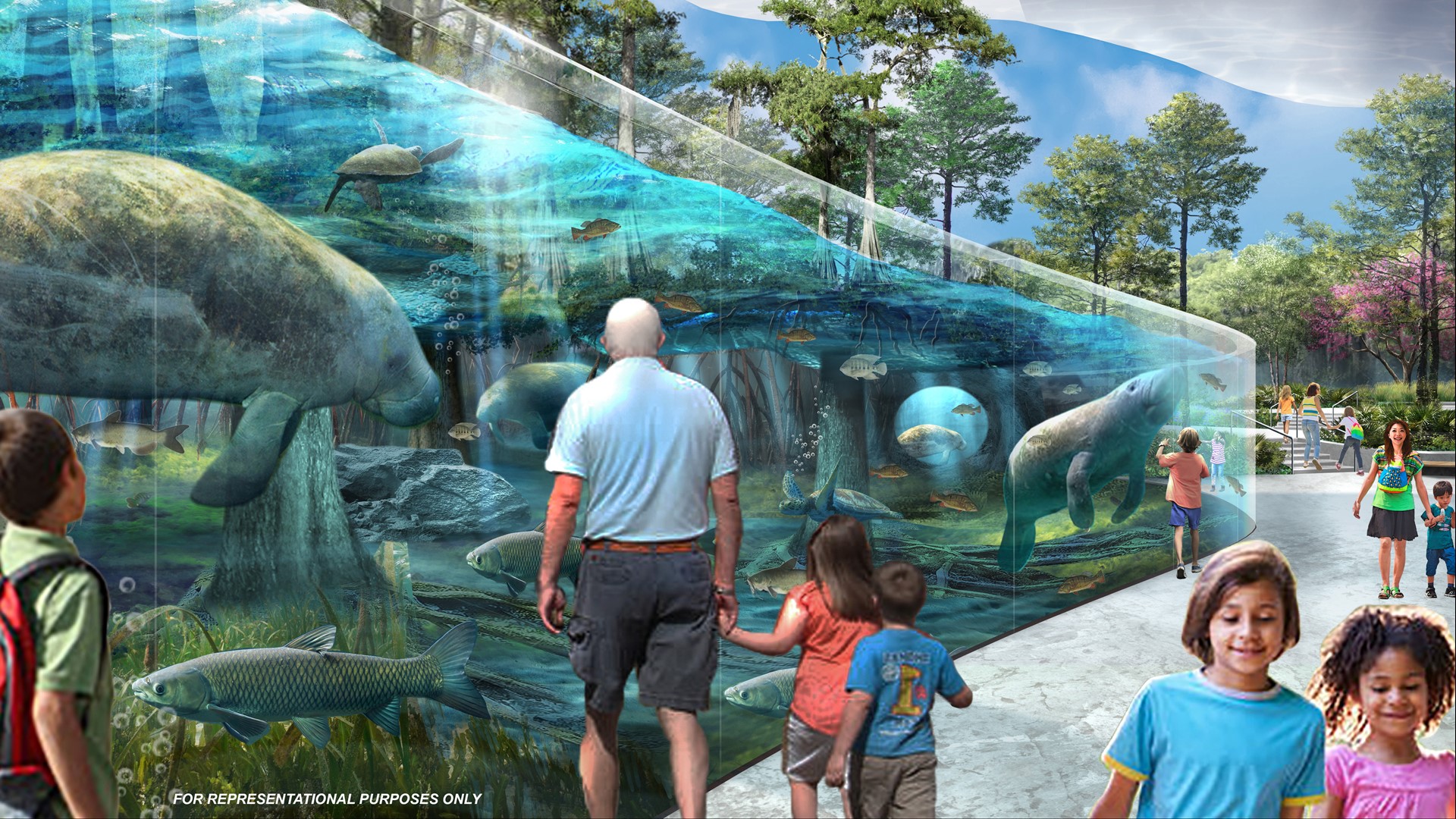 Jacksonville Zoo announces plans for Manatee River