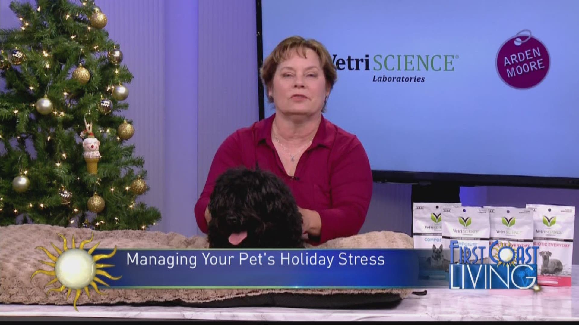 The lights, extra noise, and travel associated with the holidays can make for a very stressful time of year for our pets.
