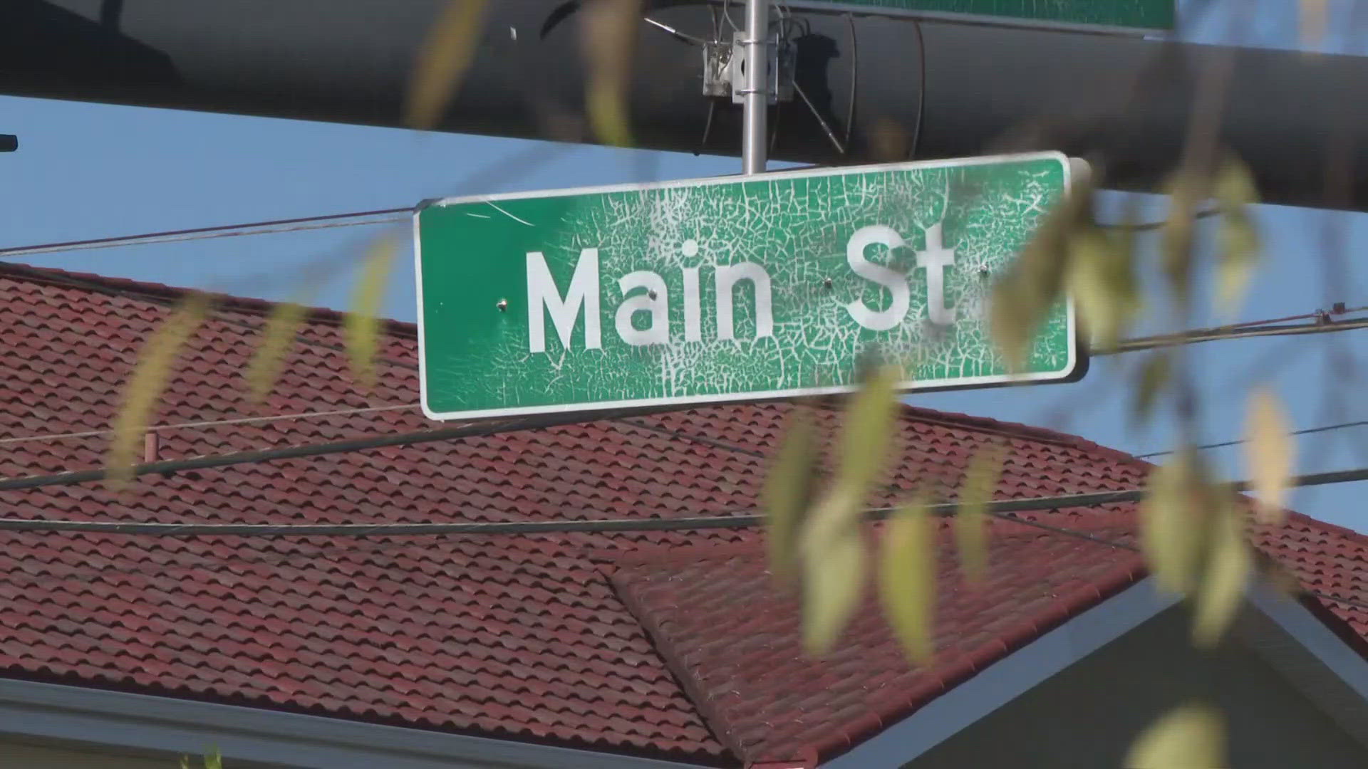 Blackshear city officials in Pierce County created the Downtown Development Authority to revitalize downtown and bring in more businesses. 