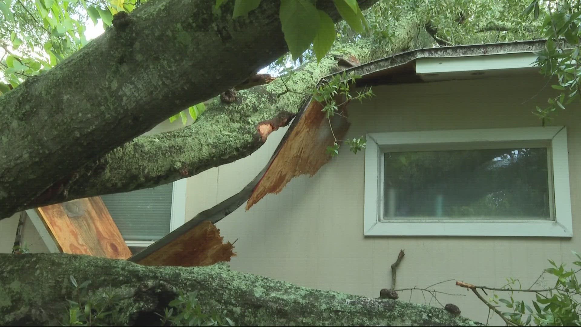 A woman who was trapped in the house during the time the tree caused damage to the home, was able to escape safely.