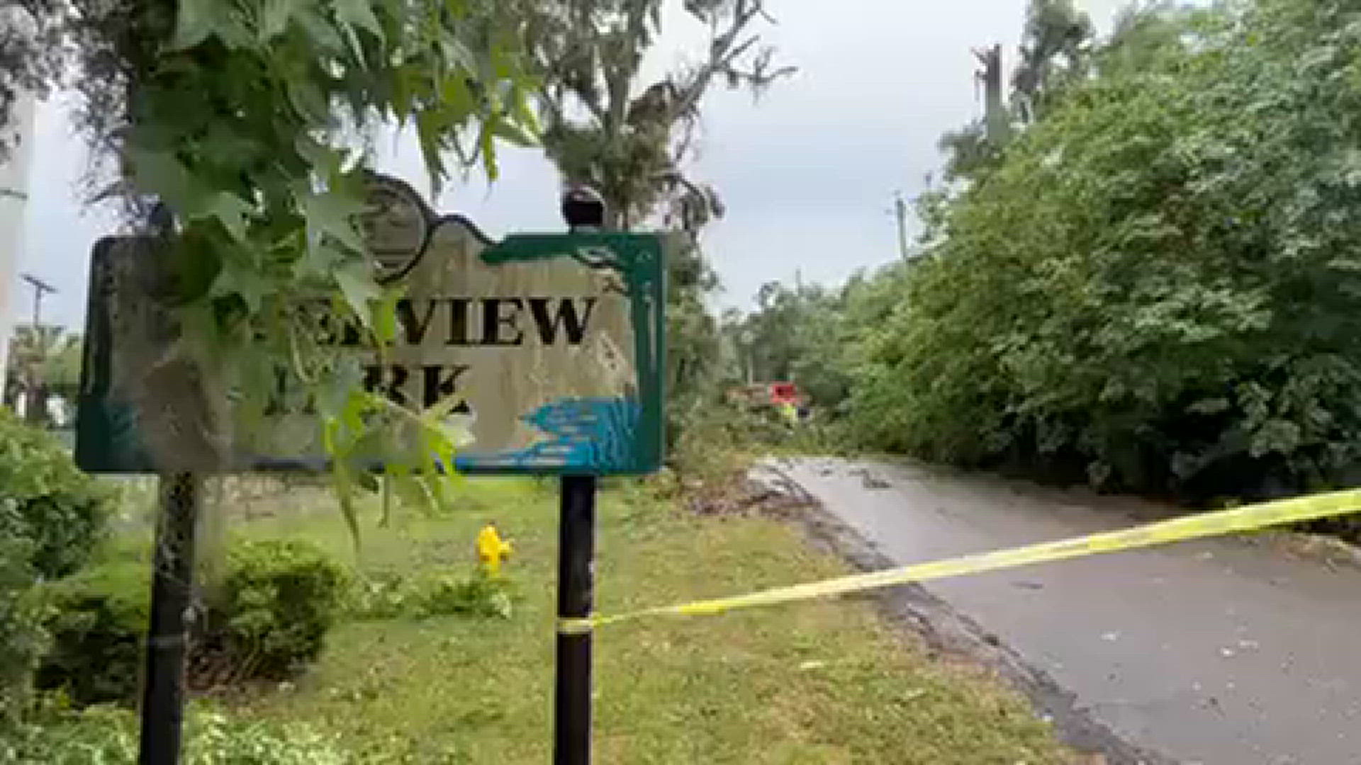 A downed tree blocked off Water Street in Jacksonville Friday during severe weather.
Credit: Renata Di Gregorio