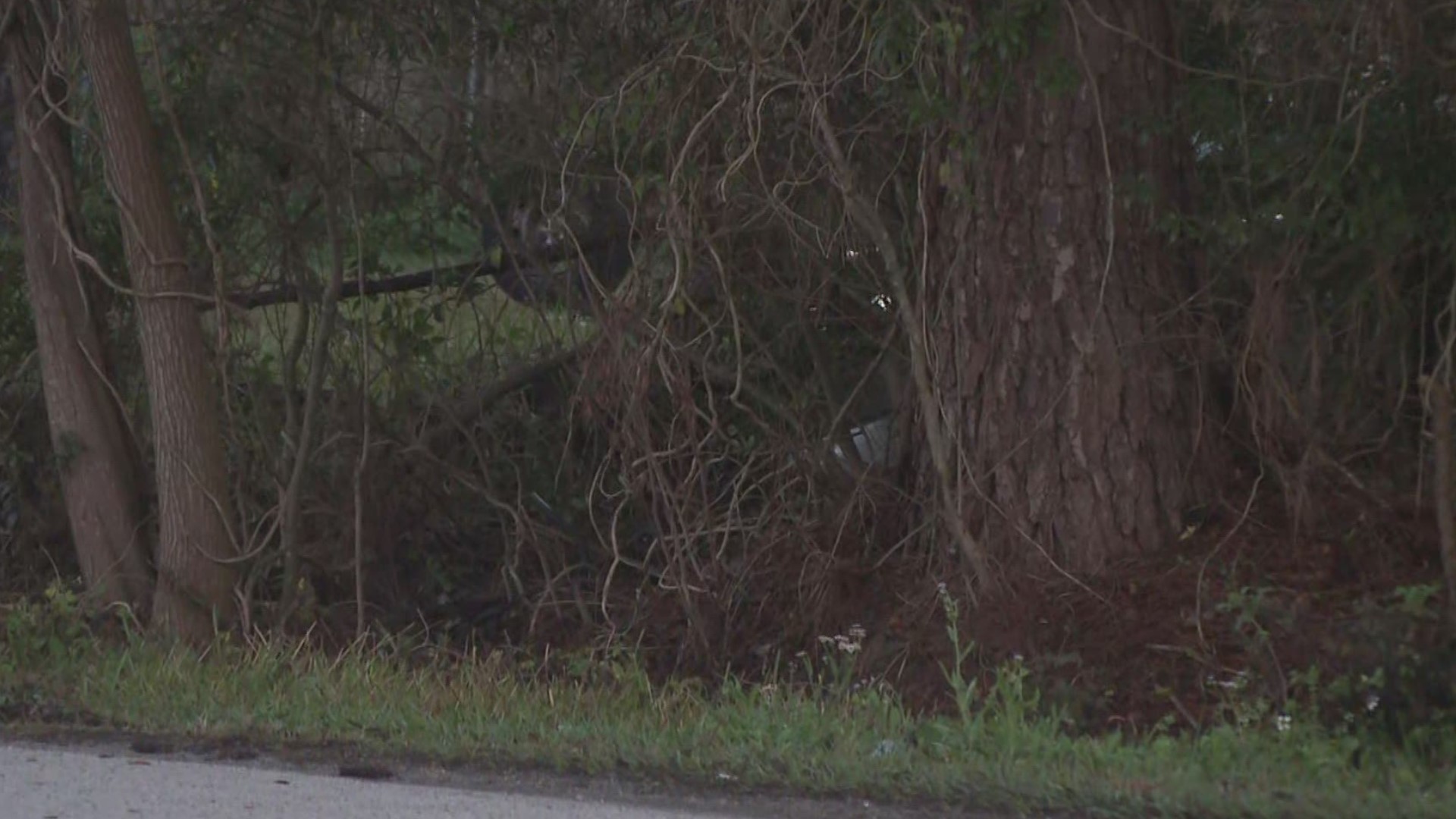 JSO said at about 1:15 a.m. on Saturday, they found the body of a man who had been stabbed to death of Beach Boulevard and Hodges Boulevard.