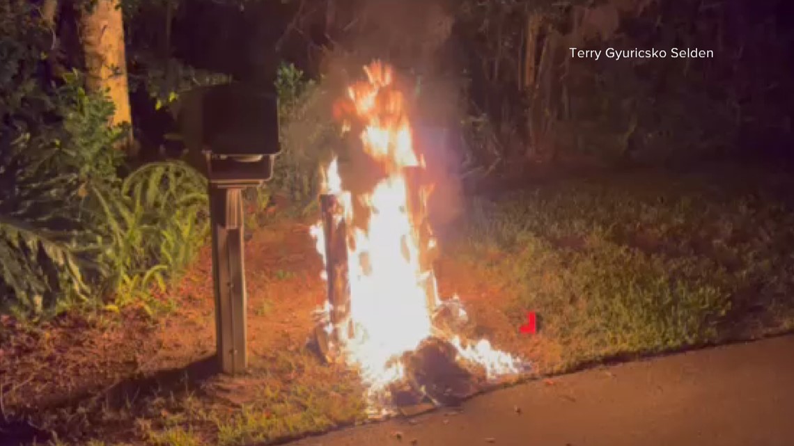 Neptune Beach Police search for arson and vandalism suspect - Vimarsana News