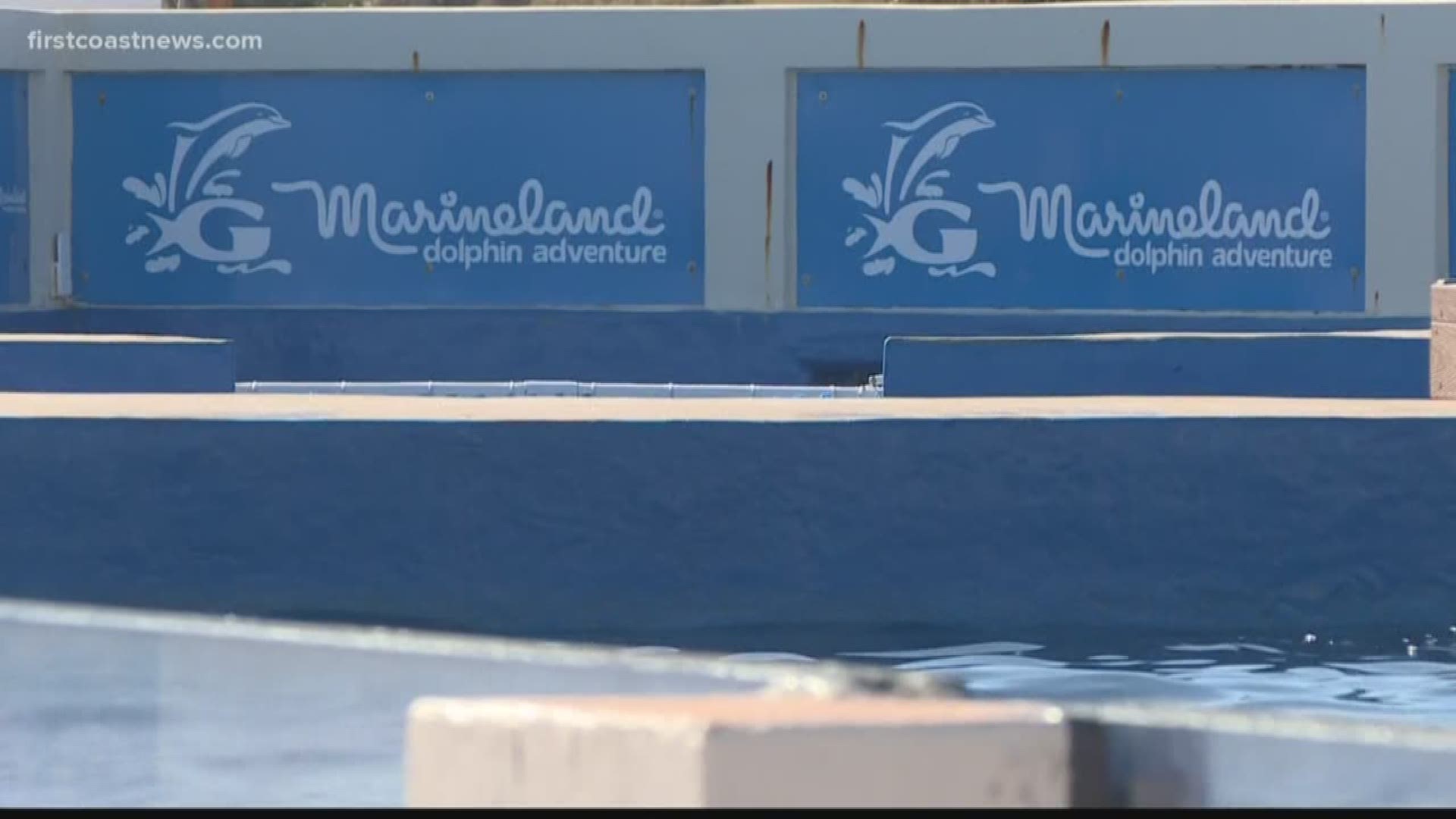 Marineland is now owned by Dolphin Discovery, which is based in Mexico. There are a few changes but Marineland's message of education and conservation remains.