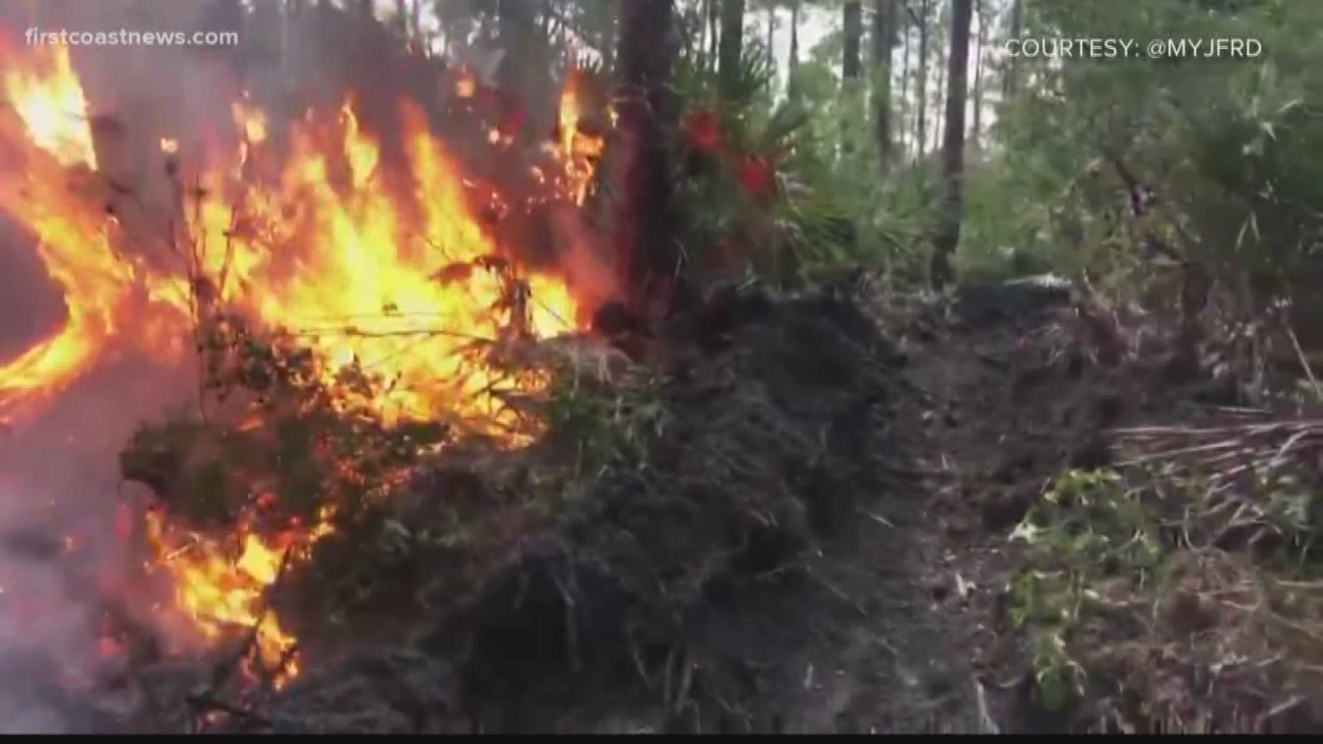 Jacksonville Fire and Rescue Department crews were on the scene of a brush fire near Hodges Boulevard and J Turner Butler Boulevard Saturday afternoon.