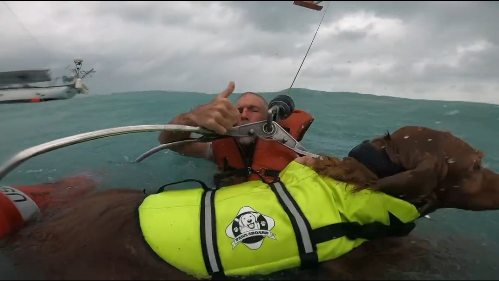 Coast Guard crews rescued a man and his dog who were stranded at sea after their sailboat took on water in the Gulf of Mexico during Hurricane Helene.