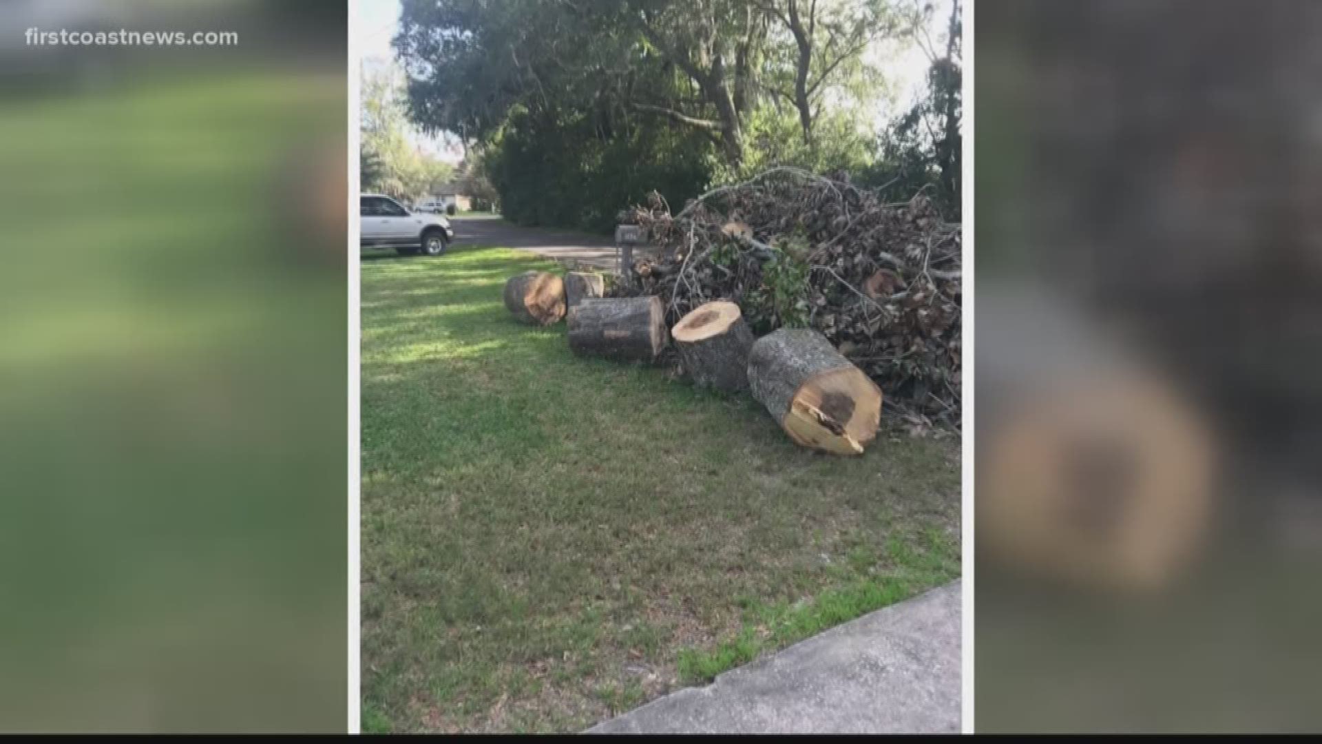 Joyce Hodges said an employee with the company she paid upfront showed up to cut the branches, but never returned to remove them.
