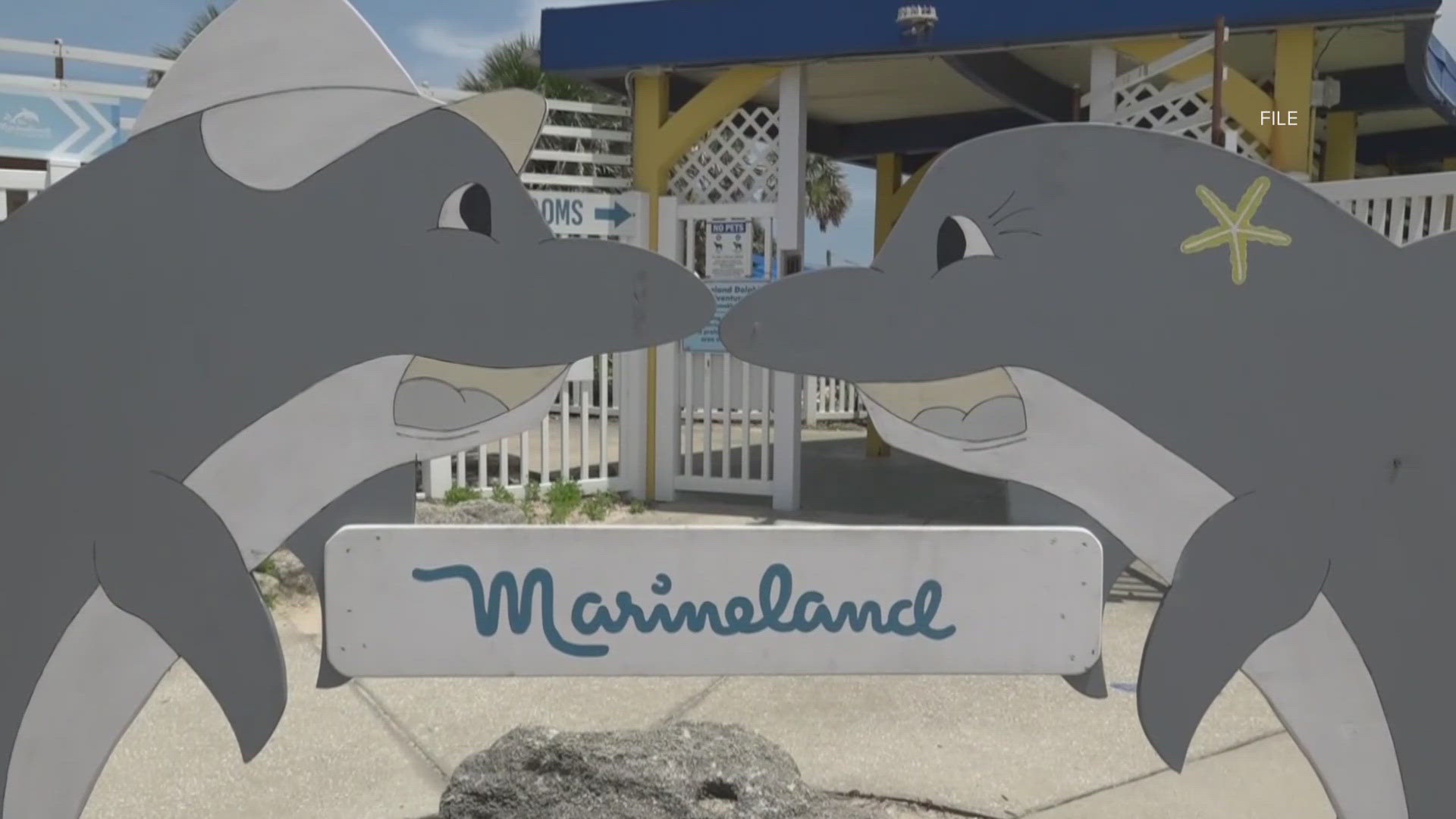 The beachfront marine life attraction was up for auction. The buyer's plans are currently unknown.