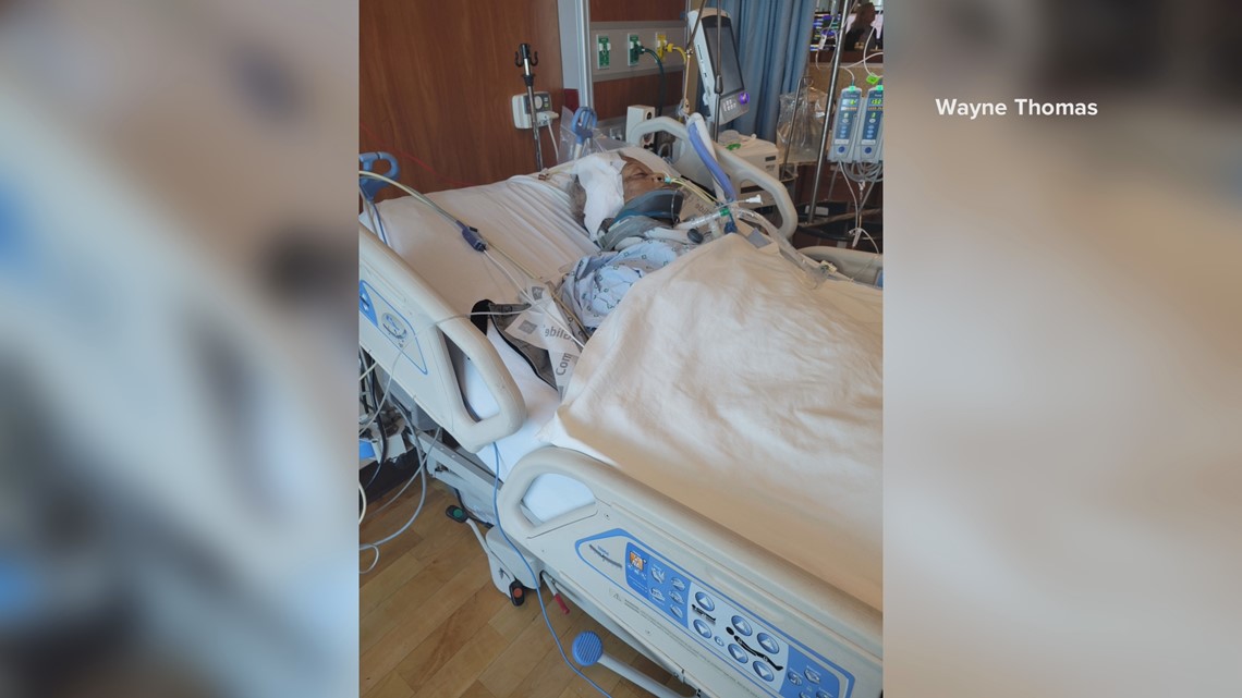 Elderly woman's leg amputated after dog attack in Hawthorne - Vimarsana News