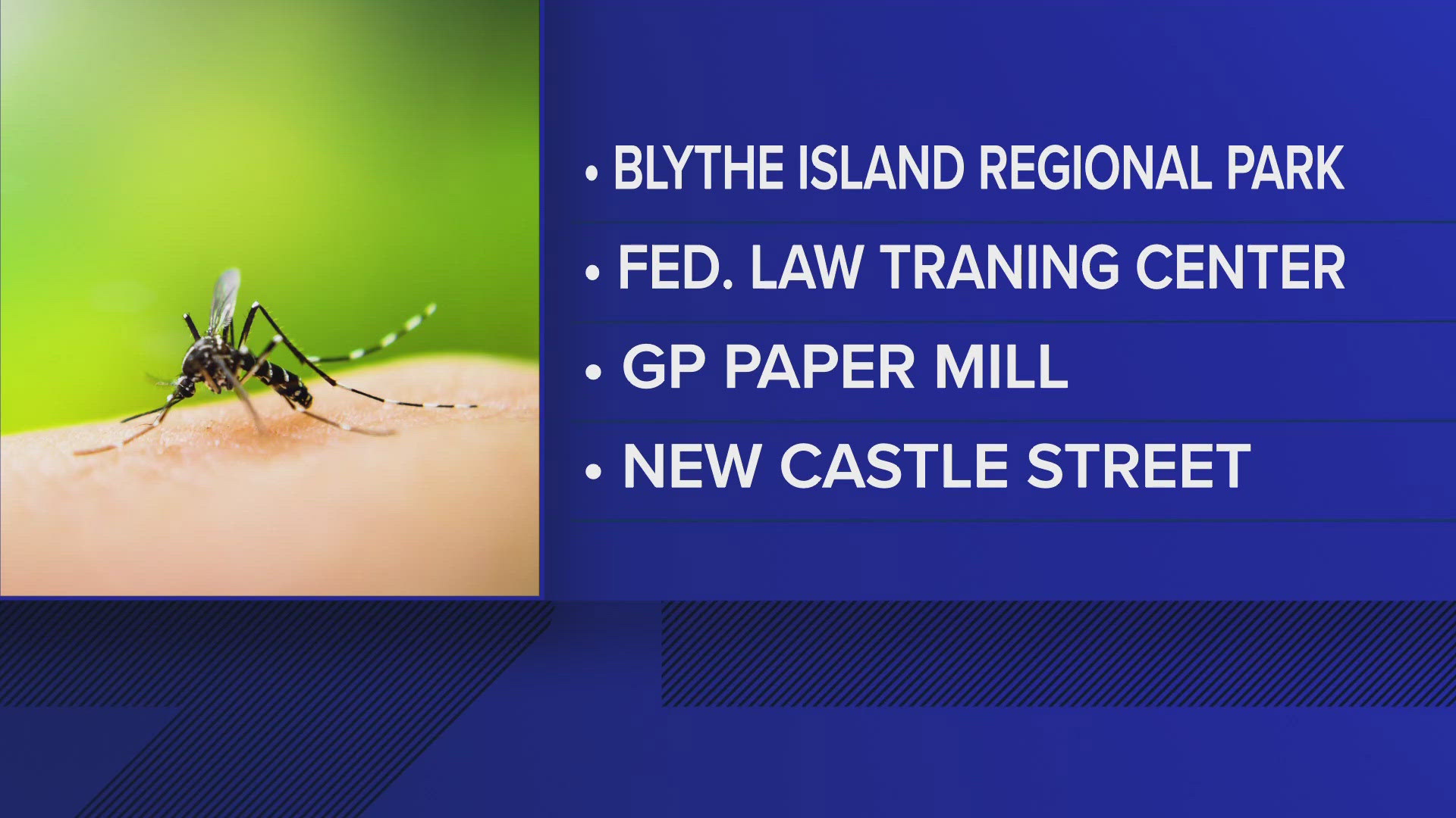 The positive cases were all found in mosquitoes, and there are currently no reported human cases of the virus.