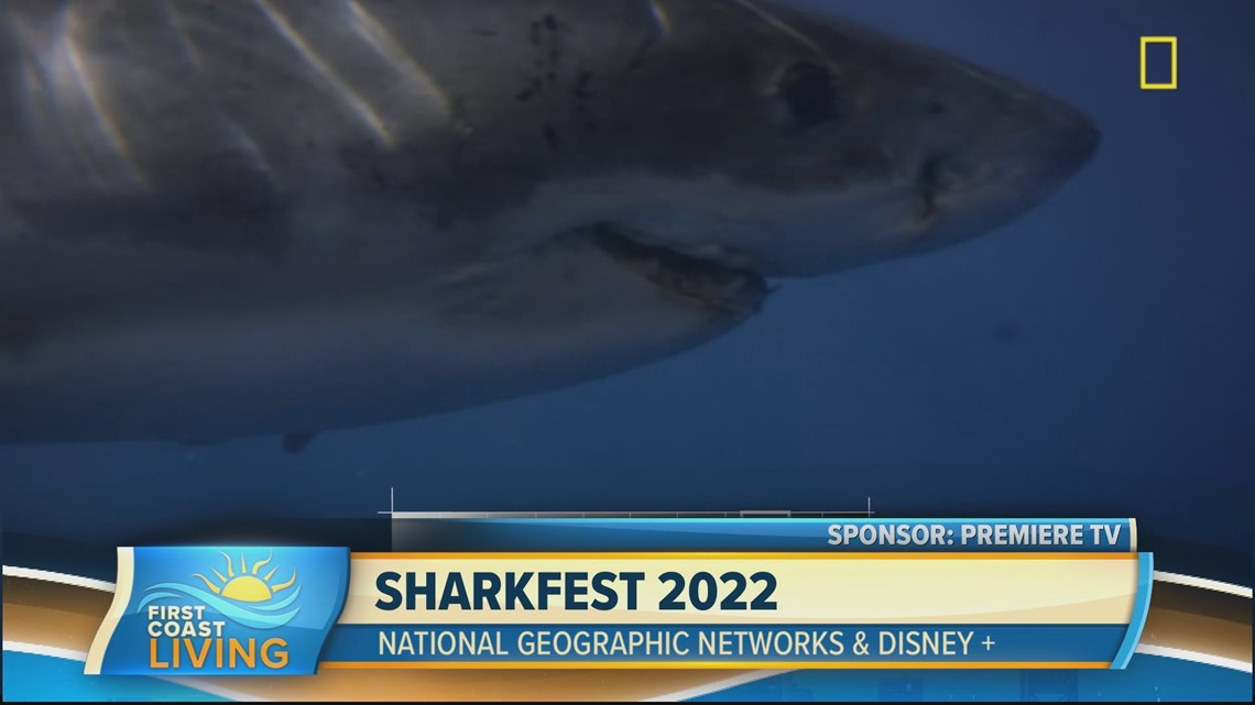 SharkFest' Schedule 2022 Includes Nat Geo, ABC, ESPN and Hulu