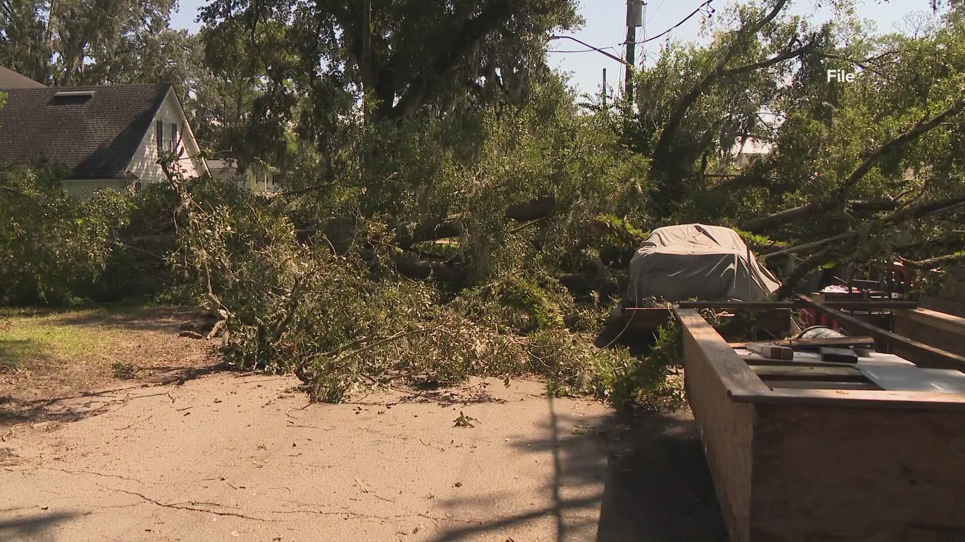 Robert Fraizer said his neighbors tree fell in his front yard, damaging his fence, car, and boat.