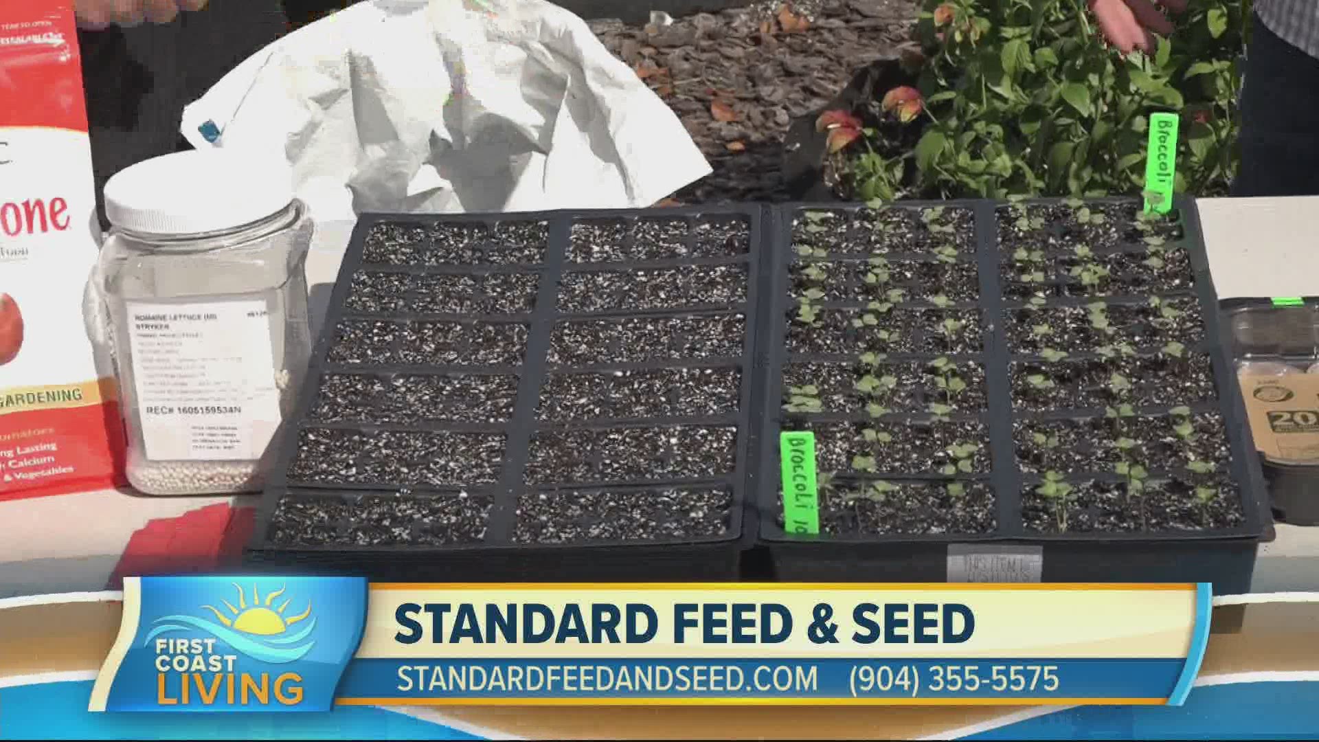 Our friends at Standard Feed & Seed show us how we can upgrade our gardens this season!