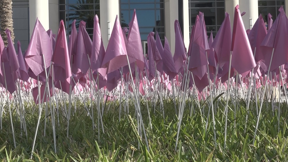 Jacksonville organizations partner with Hubbard House for Domestic