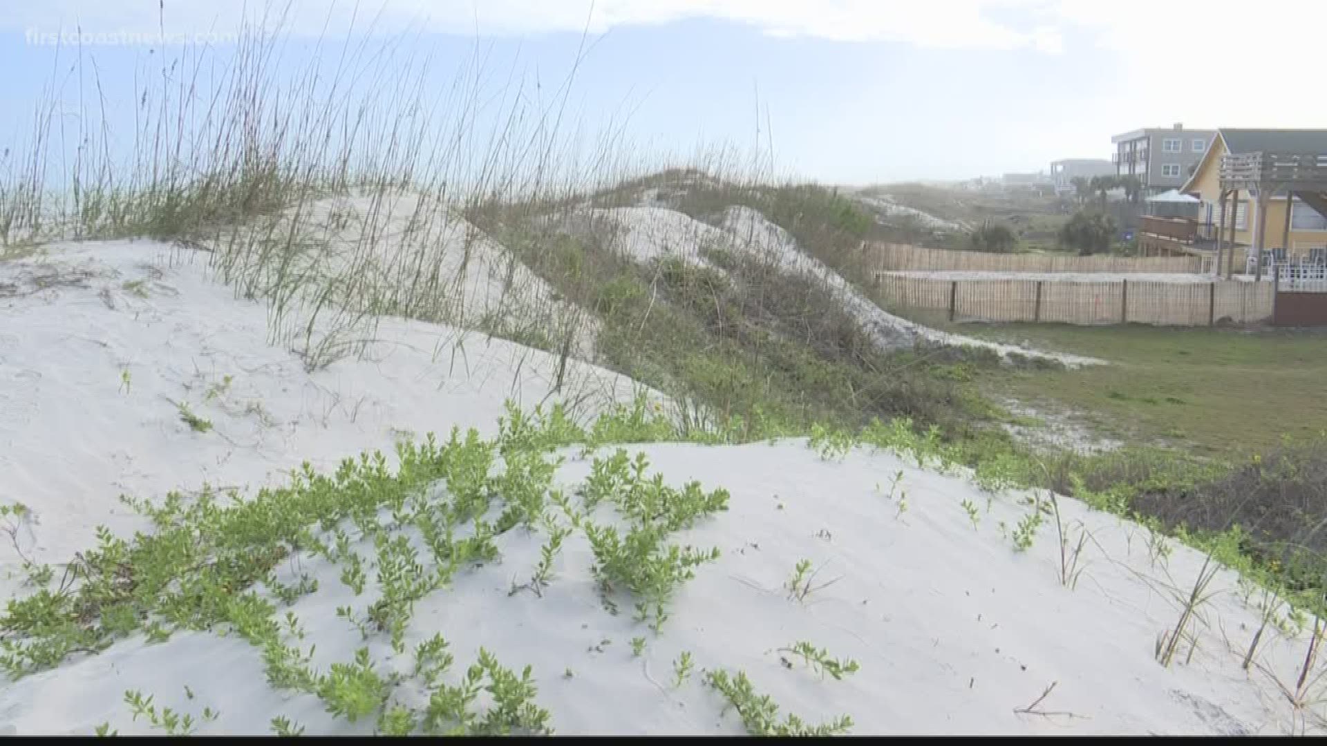 Signs along St. Augustine Beach state dunes can’t even be walked on, which is why many are confused as to how the dunes were allowed to be excavated.