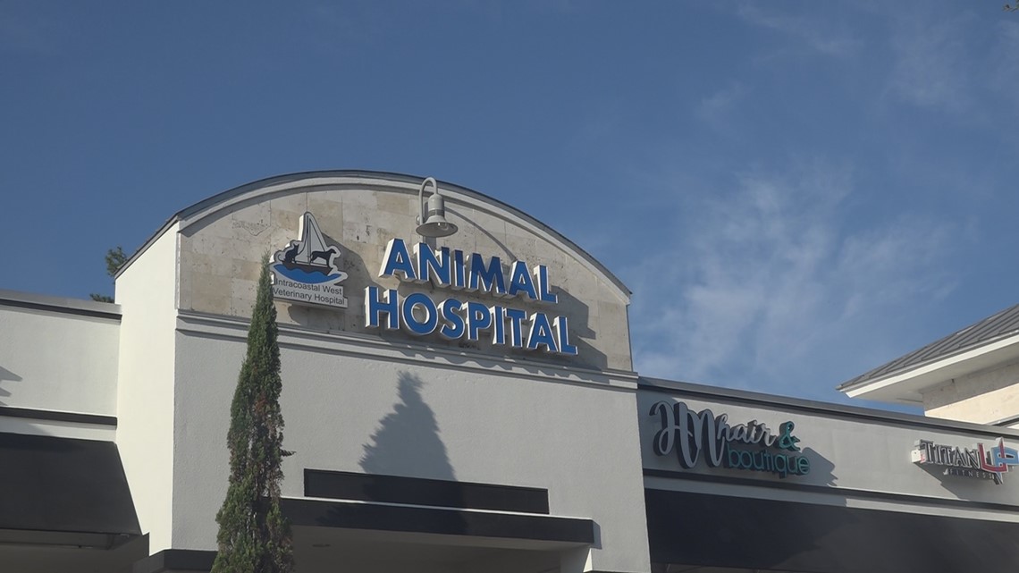 Jacksonville veterinarian talks monkeypox and what to know