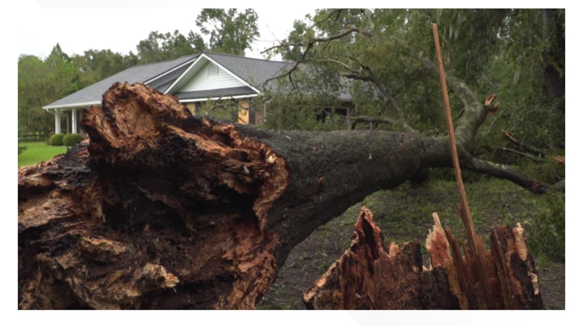 Columbia County Florida Downed Trees Nearly Trap Couple Idalia