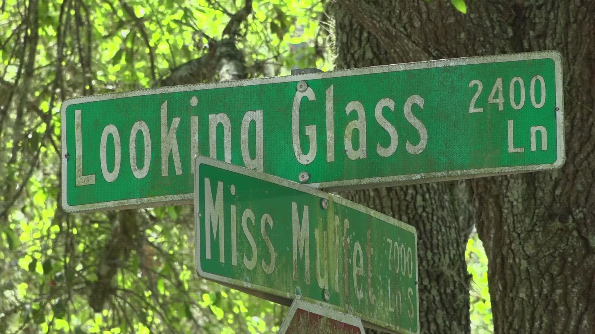 Neighbors living in the area of Looking Glass Lane on the Westside are speaking out about speeding drivers after the child was hit by a car Friday afternoon.