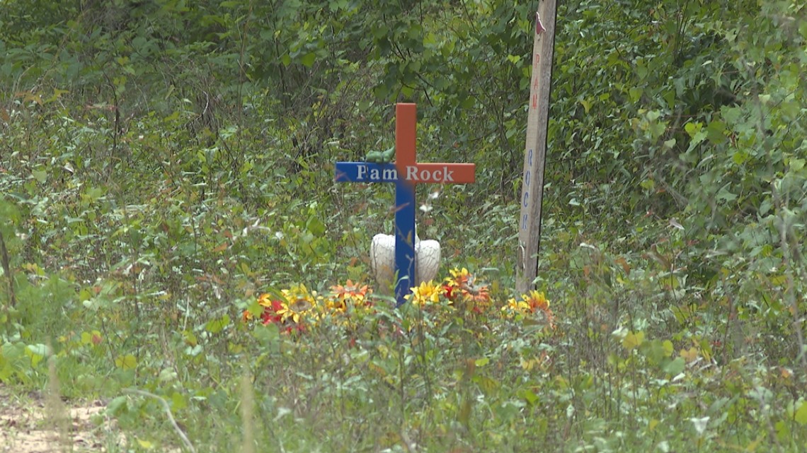 Family of woman killed by dogs call for independent investigation - Vimarsana News