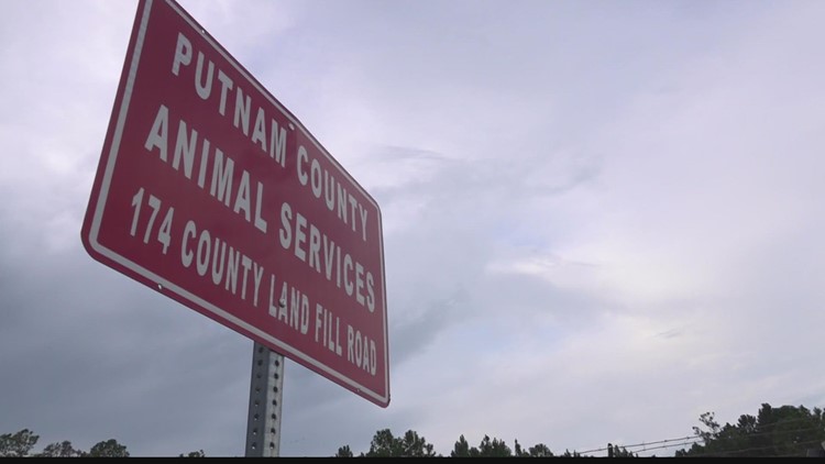 Putnam County neighbors resort to trapping stray dogs themselves