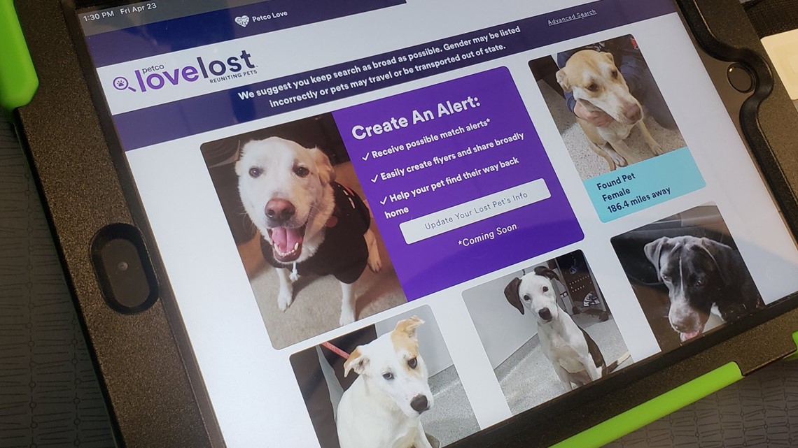 Petco launches national searchable lost pet database 