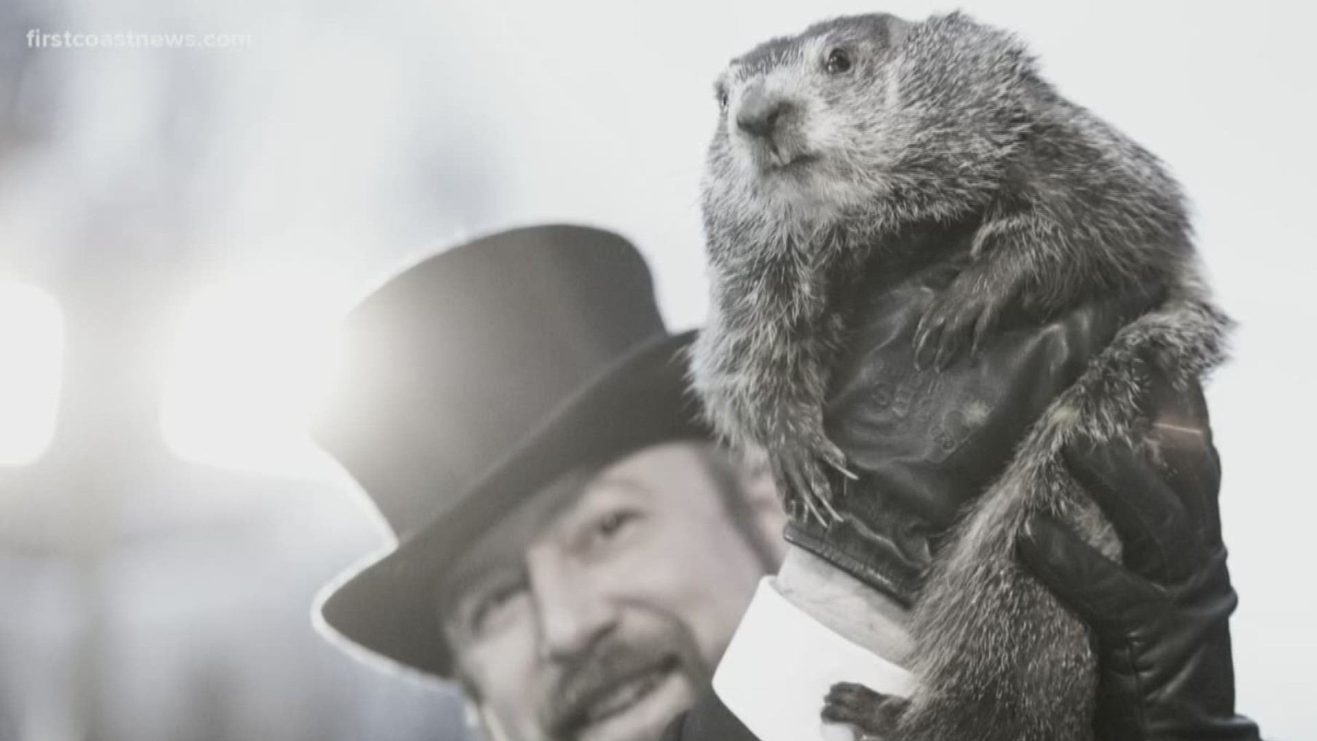 Here's why you should trust a meteorologist, not a groundhog.