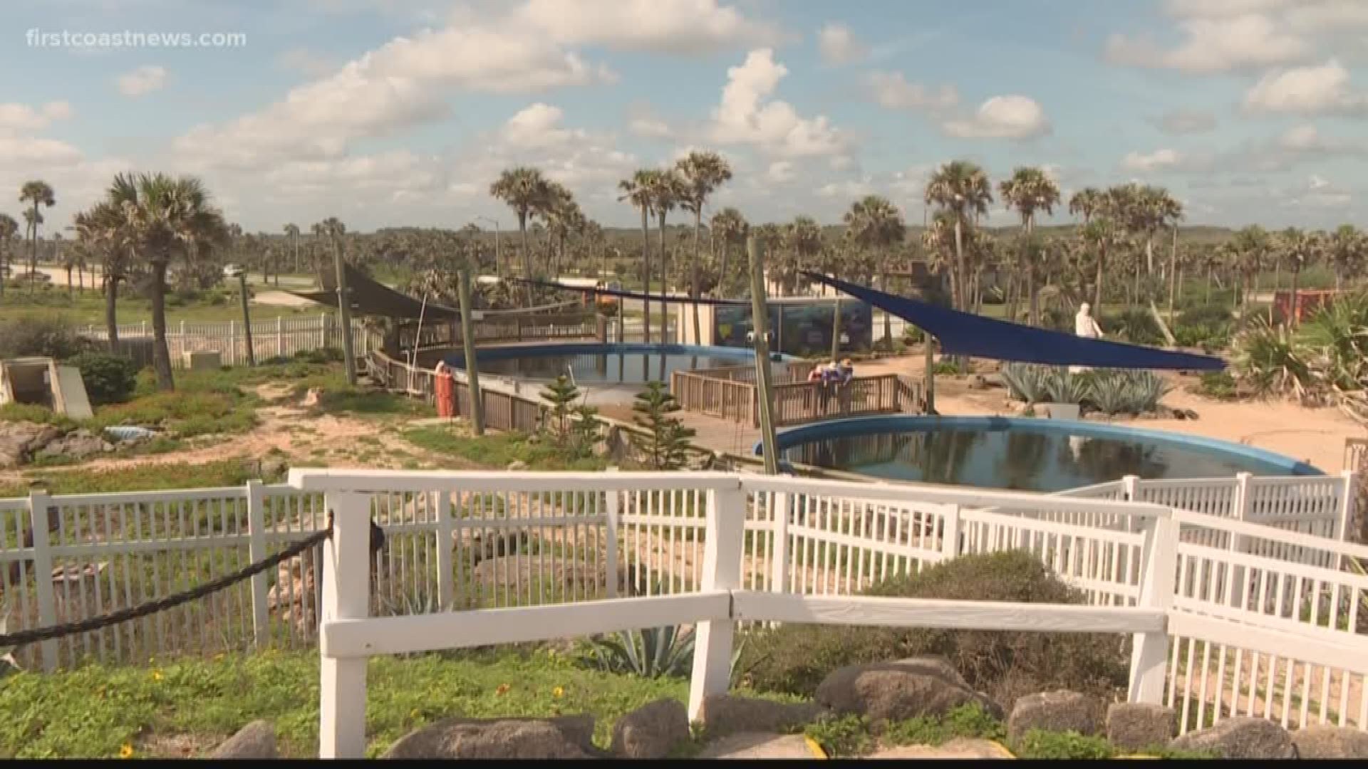 First Coast News has learned Marineland may be purchased by a Cancun-based attraction company which operates other attractions in the United States.