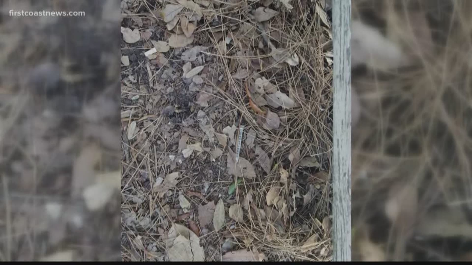 A local man said he found a heroin needle at Willow Branch Park. He and his friends are taking their own time to clean it up.