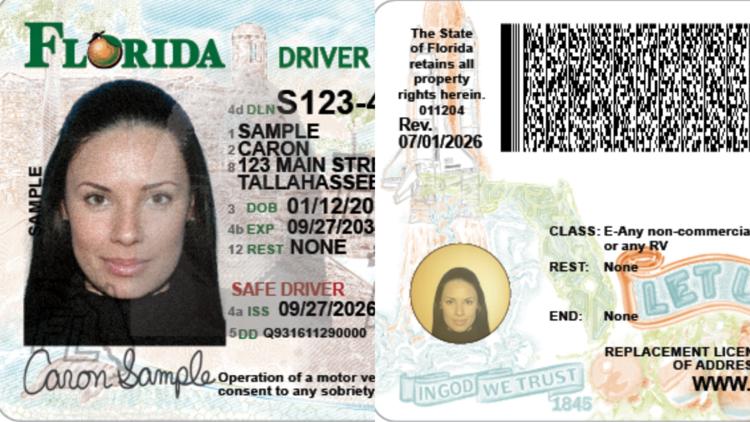 Florida rolls out new designed driver's licenses and identification ...