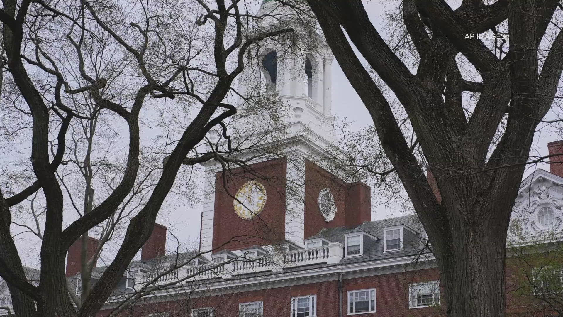 Cuts to contracts could take away millions more from Harvard’s budget.