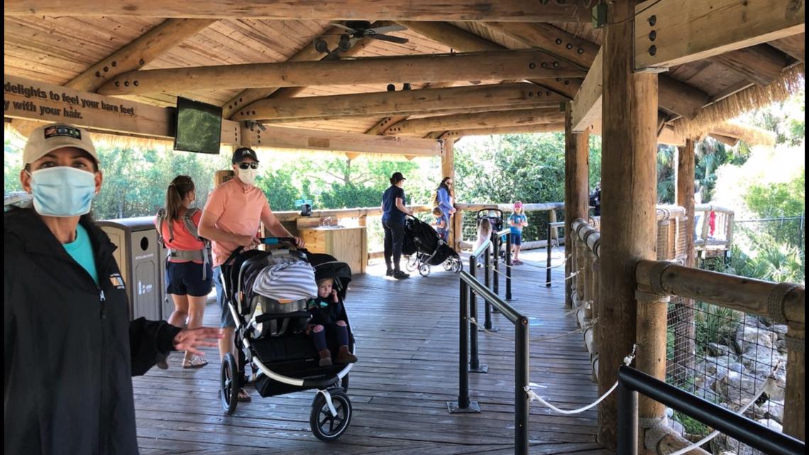 Take a tour Jacksonville Zoo reopens with restrictions