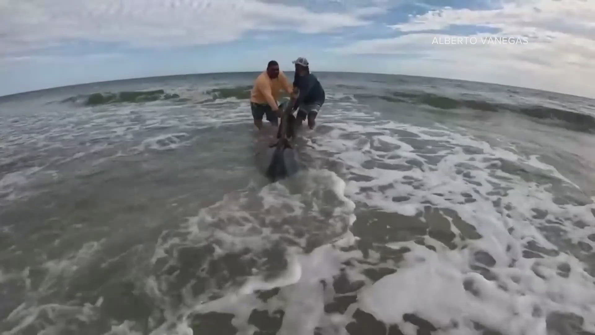 A "normal" fishing day turned into an "unforgettable" one for a Yulee man fishing at his favorite fishing spot Tuesday.