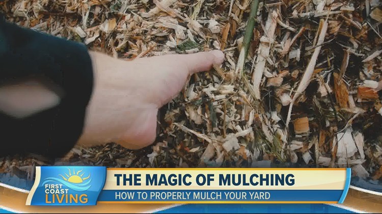 The Magic of Mulching (FCL Jan. 26, 2022)