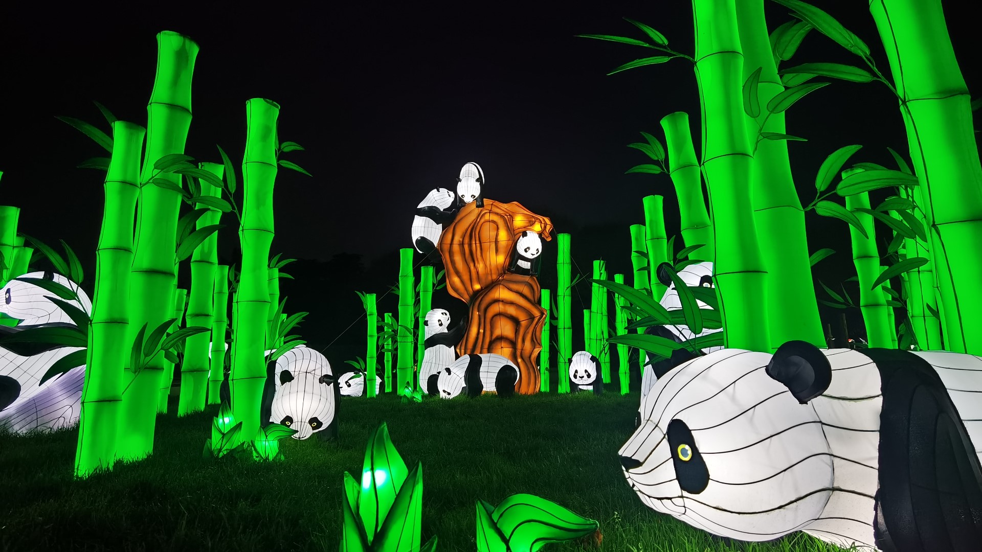 Official rules for the 'Colors of the Wild' Sweepstakes