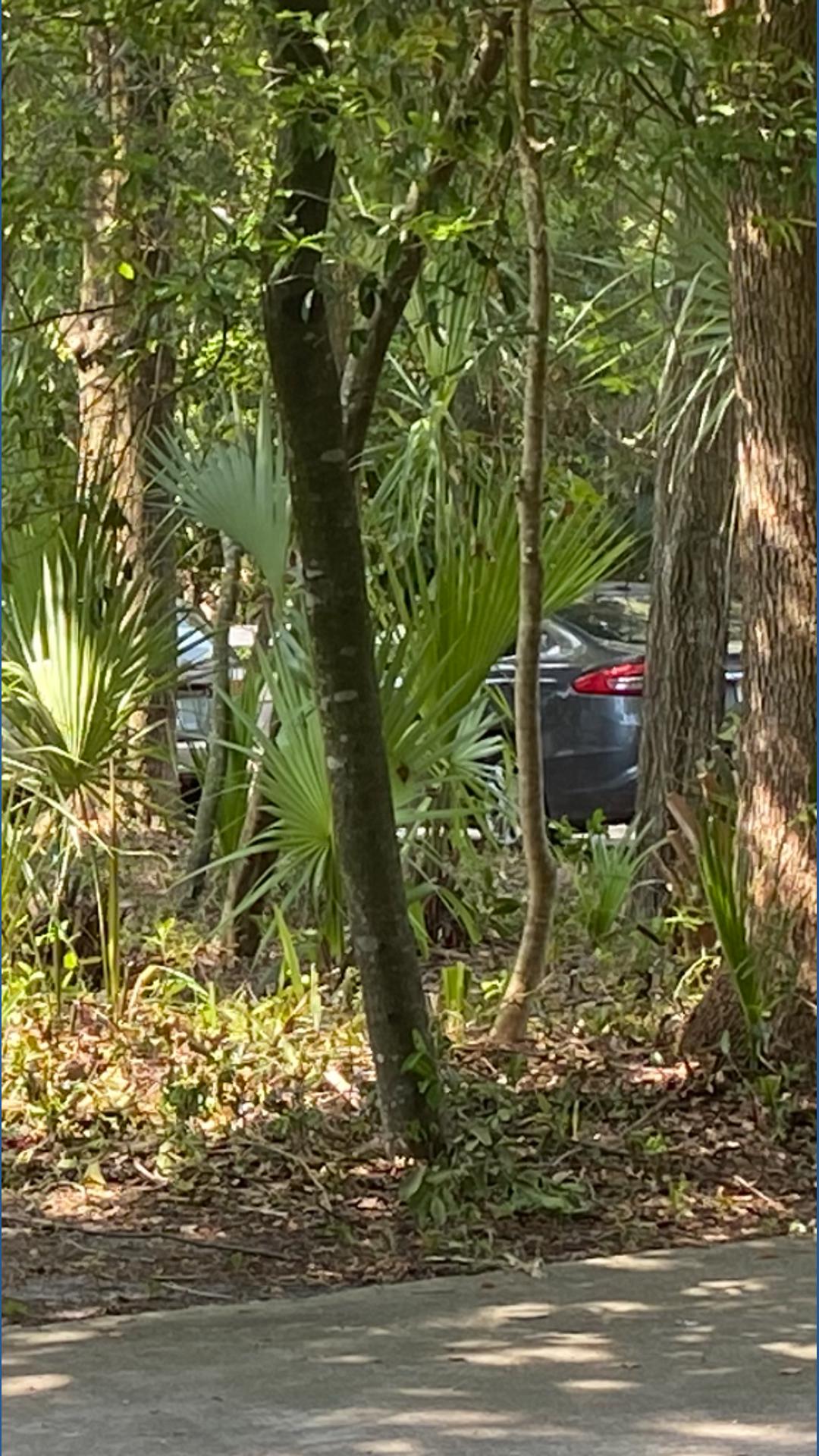 JSO: Elderly couple found dead inside Arlington home | firstcoastnews.com