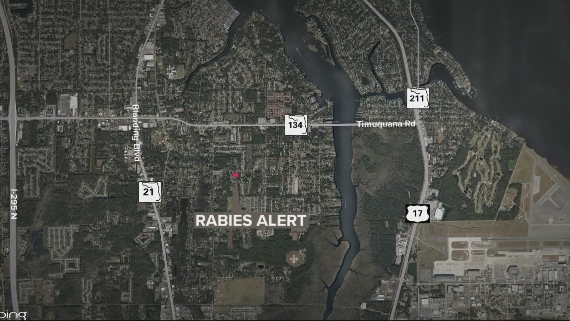 The alert follows discovery of a rabid raccoon in the Wesconnett neighborhood, according to the Florida Department of Health in Duval County.