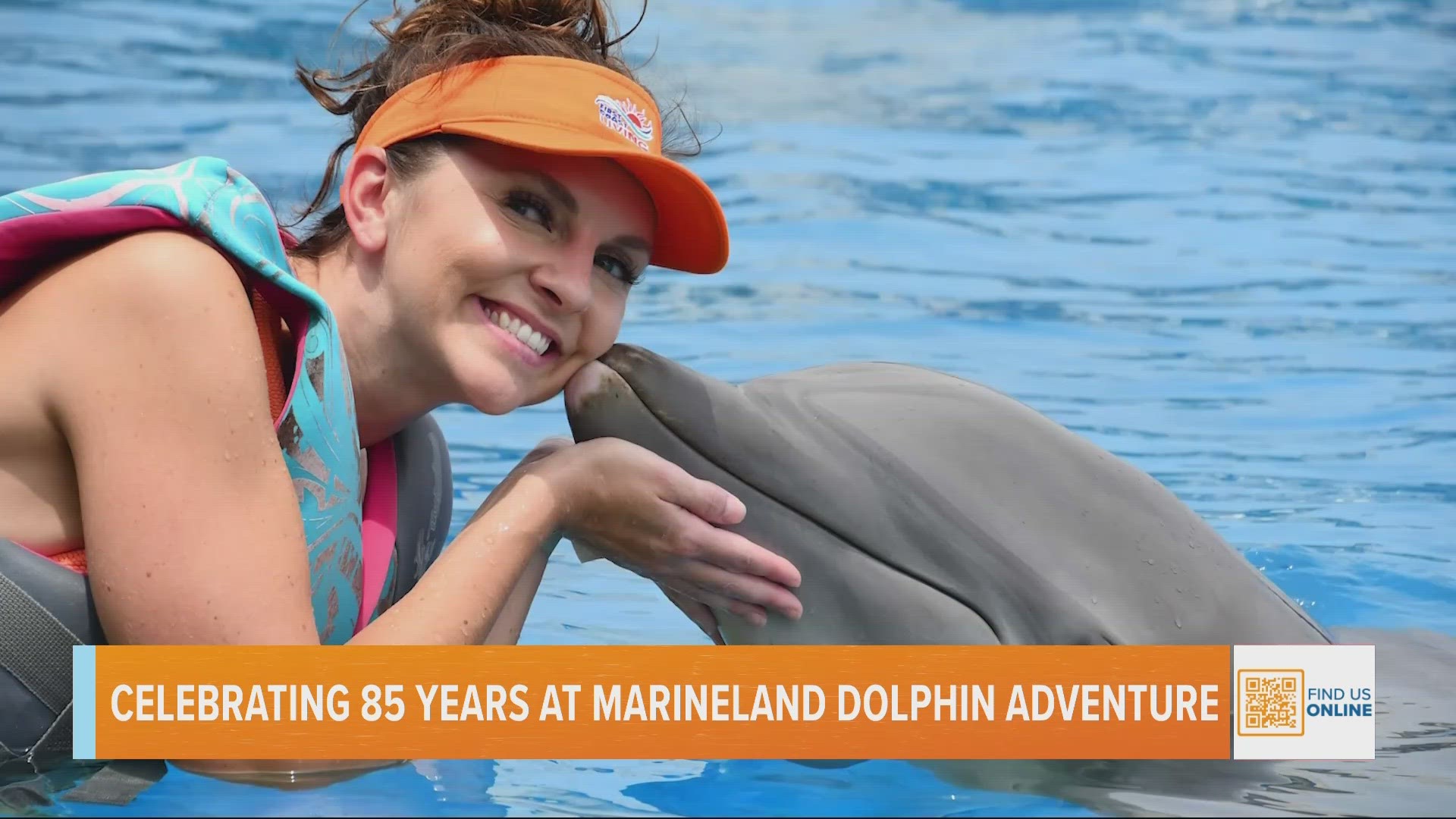 Marineland Dolphin Adventure - Dolphin Adventure