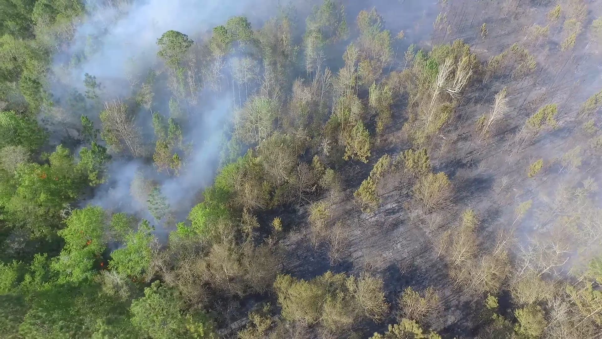 Aerial video of Barnwell Road Fire near Yulee