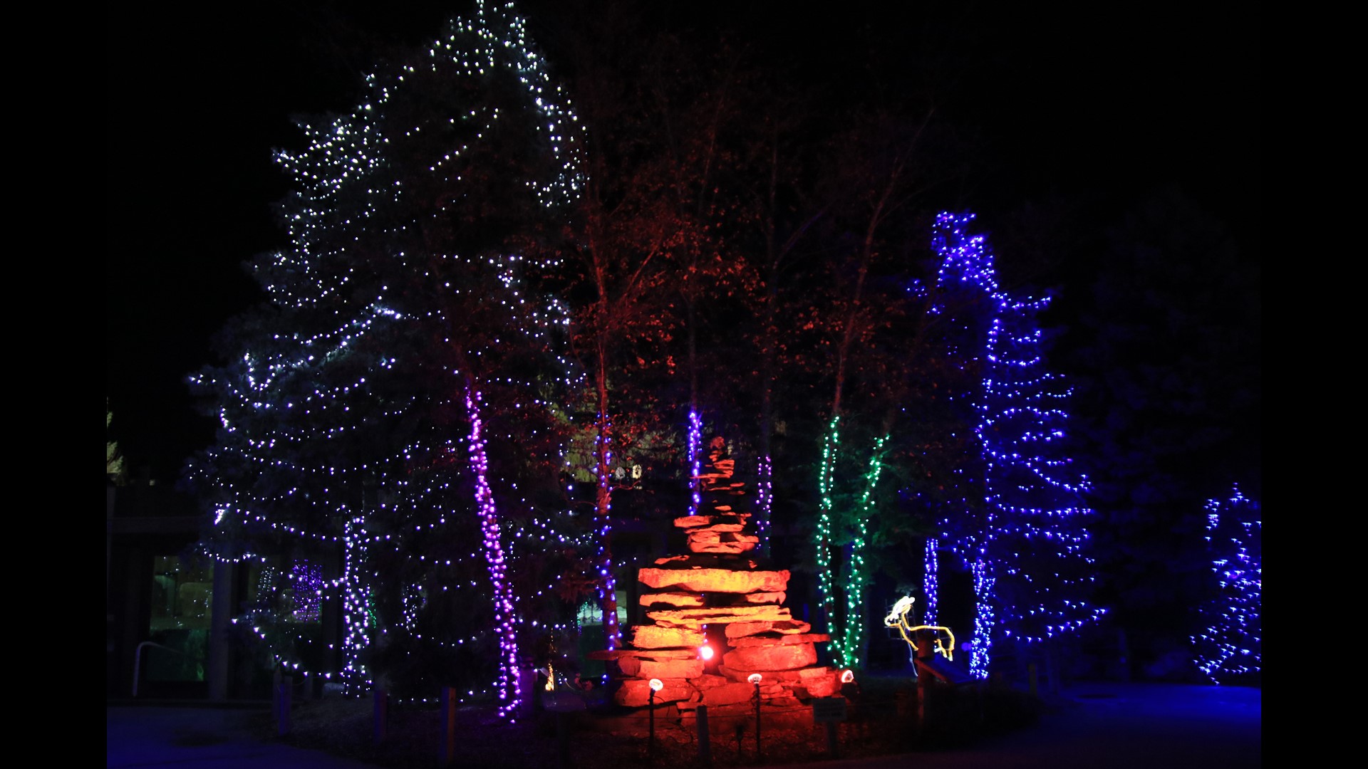 Lights Before Christmas opens at the Toledo Zoo with the tree-lig