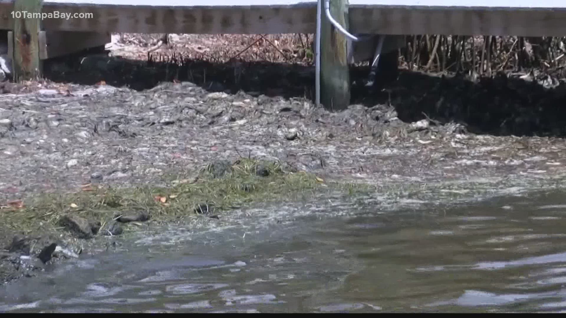 State environmental and health officials say they don’t test for COVID despite studies showing high levels in Florida sewage.