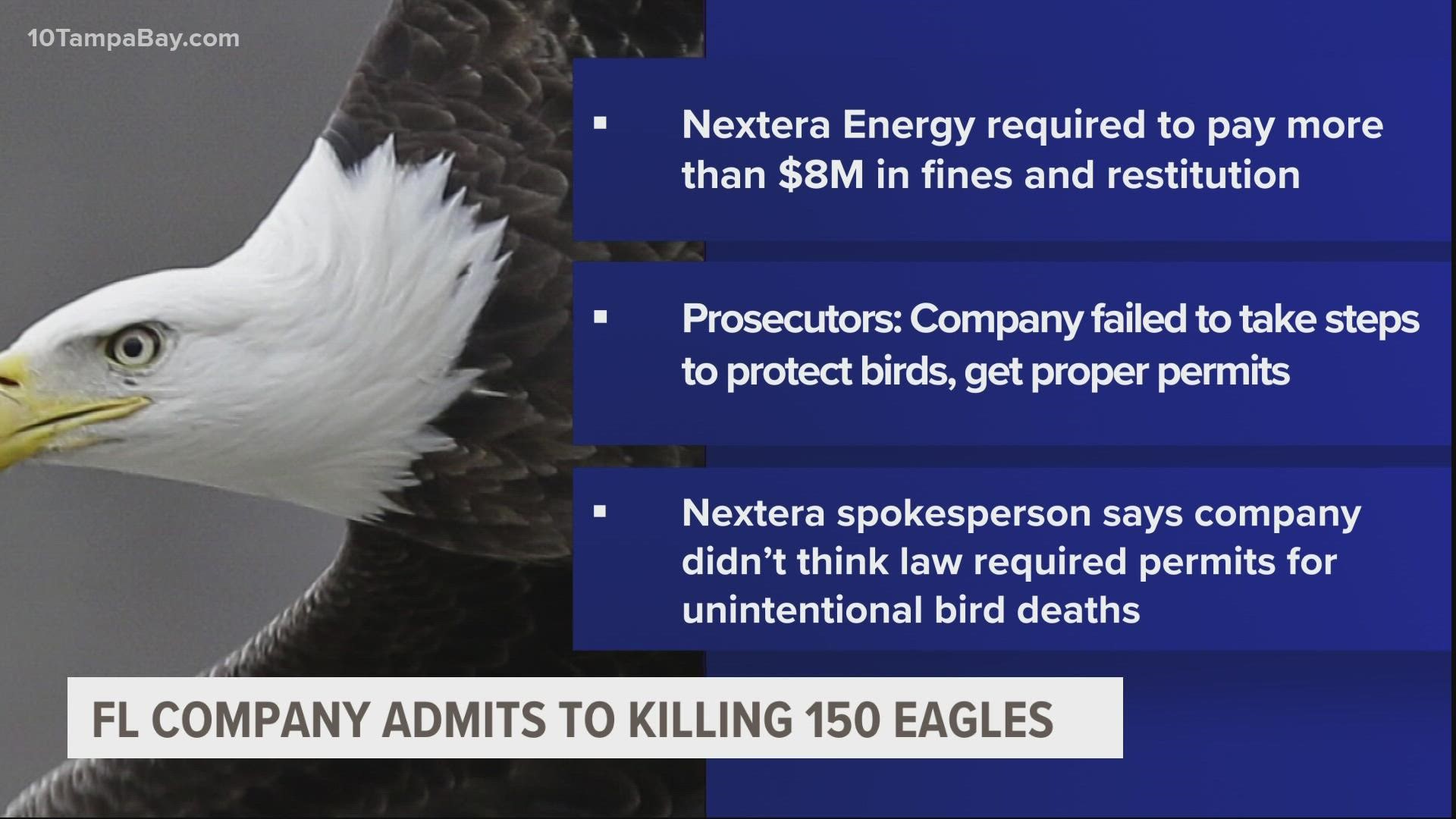 Prosecutors said the company's failure to take steps to protect eagles or to obtain permits to kill the birds gave it an advantage over its competitors.