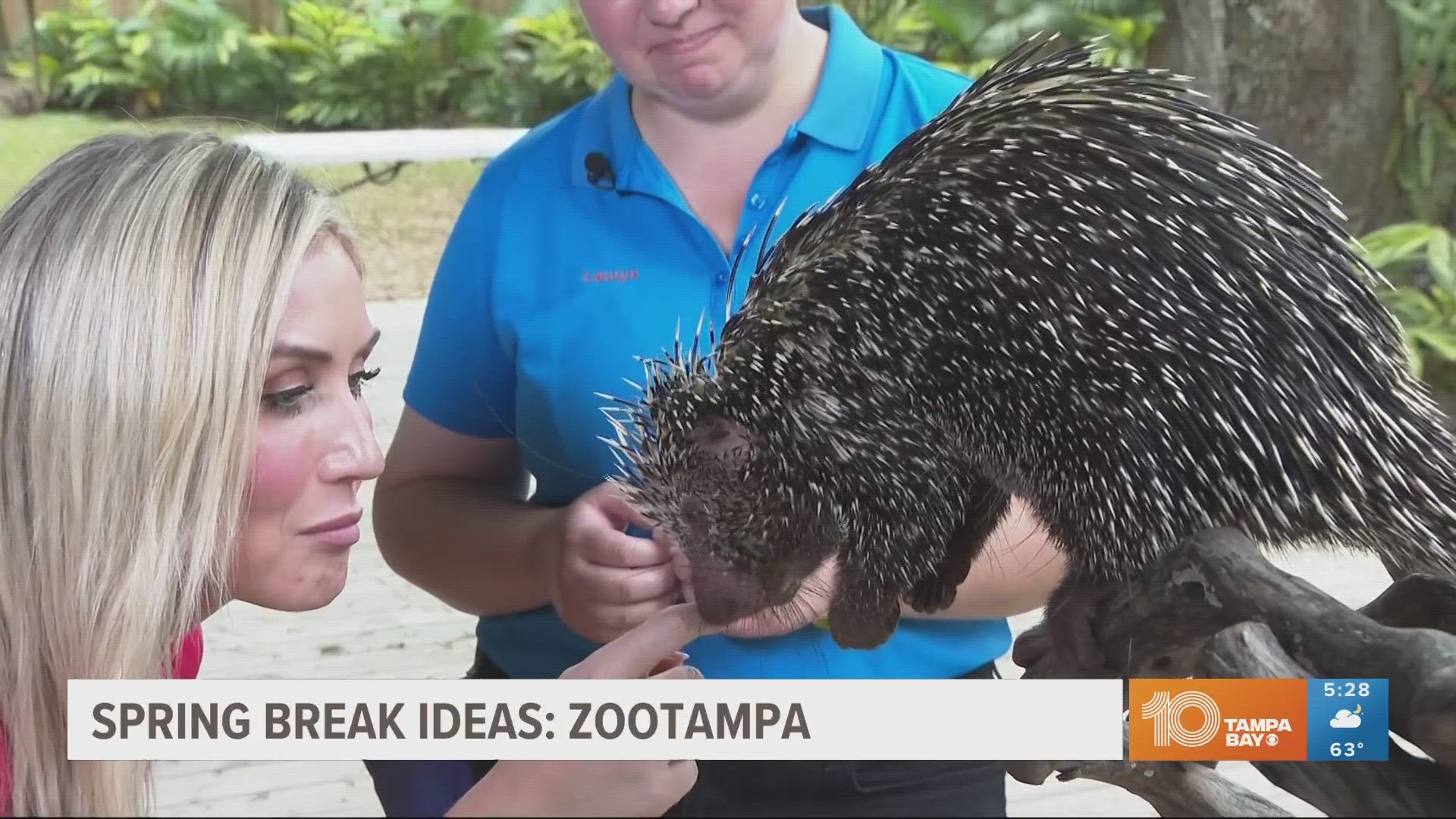 ZooTampa has a number of interactive animal experiences for the whole family to enjoy.