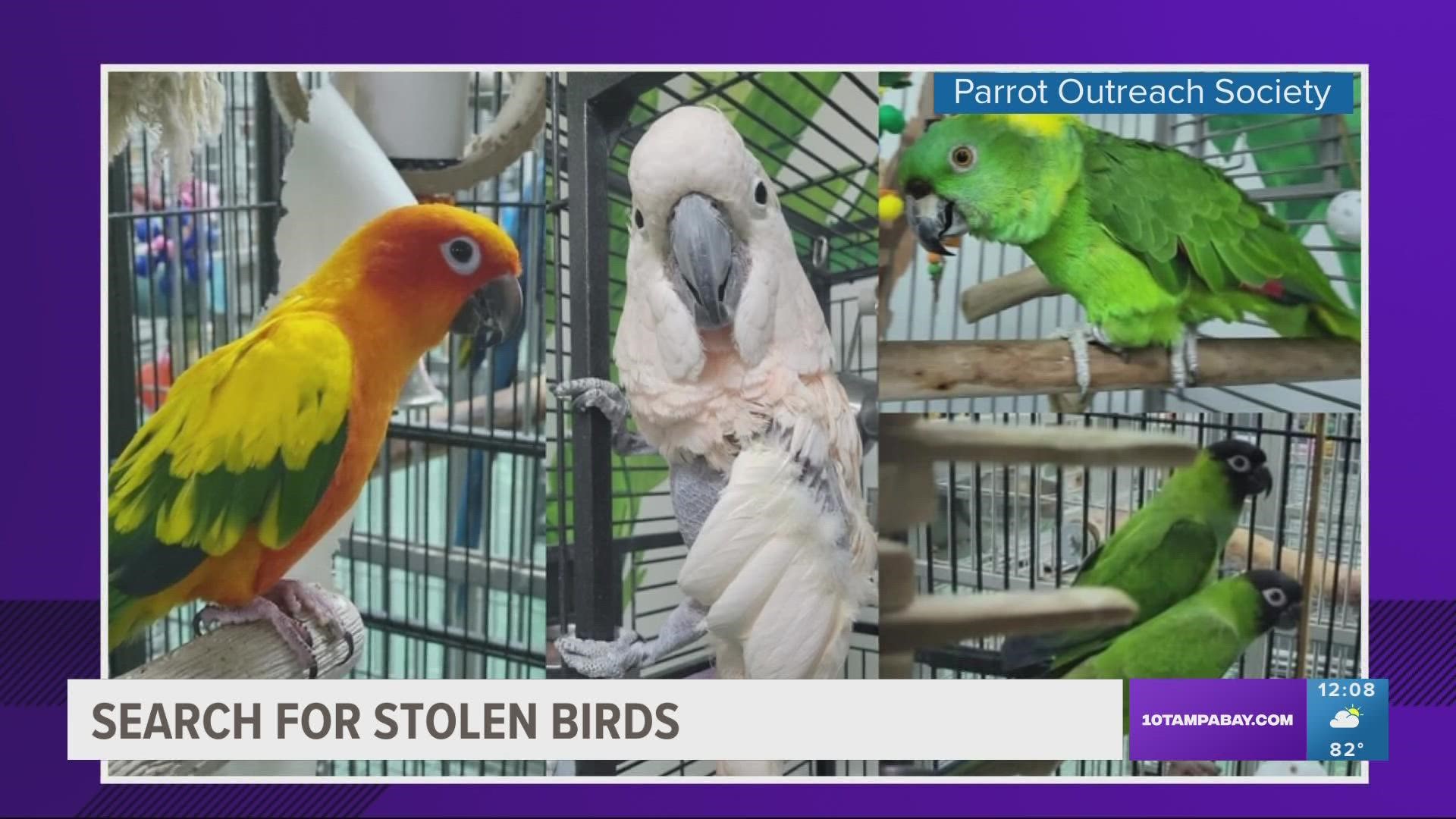 A $20,000 reward is being offered for information that leads to the return of the birds.