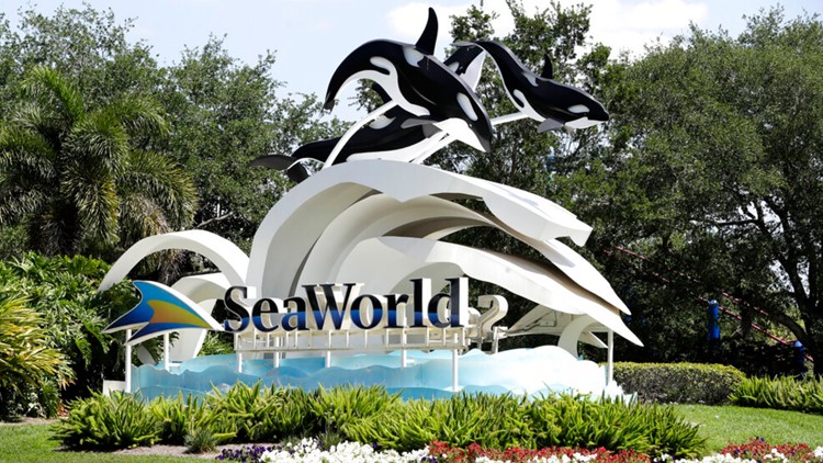 SeaWorld Orlando offering Florida teachers free admission