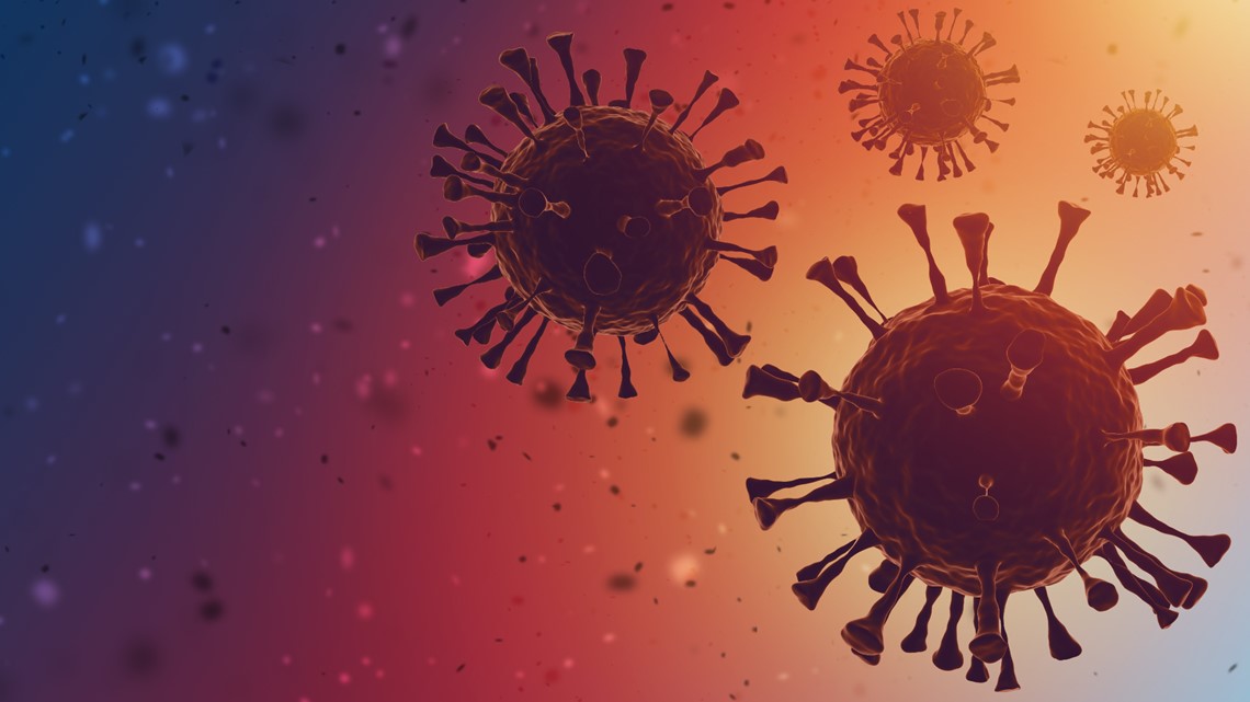 First confirmed case of omicron COVID variant found in Tampa - Vimarsana News