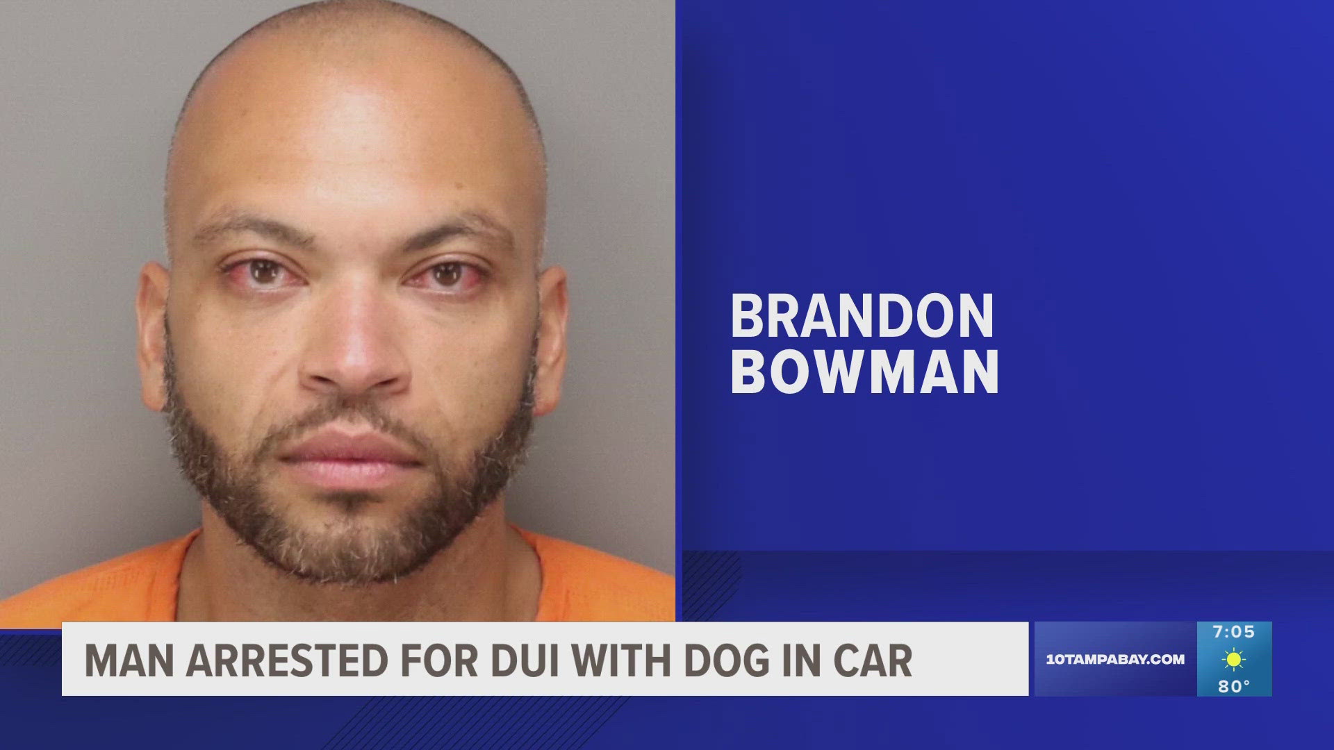 Man arrested for DUI with dog in car in St. Pete | firstcoastnews.com