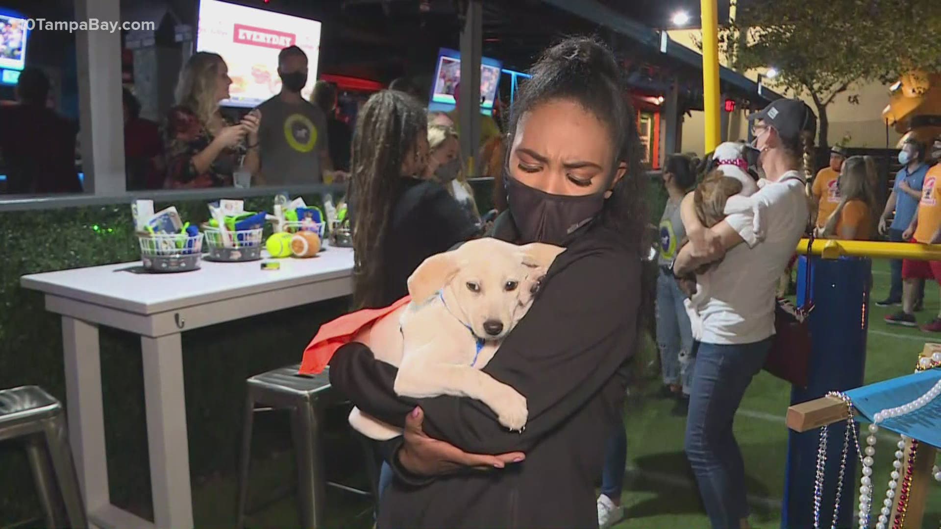 As 10 Tampa Bay reporter Emerald Morrow tells us, the second-biggest event in town this weekend is surely the first annual Pups Pub Bowl at Pups Pub in Tampa.