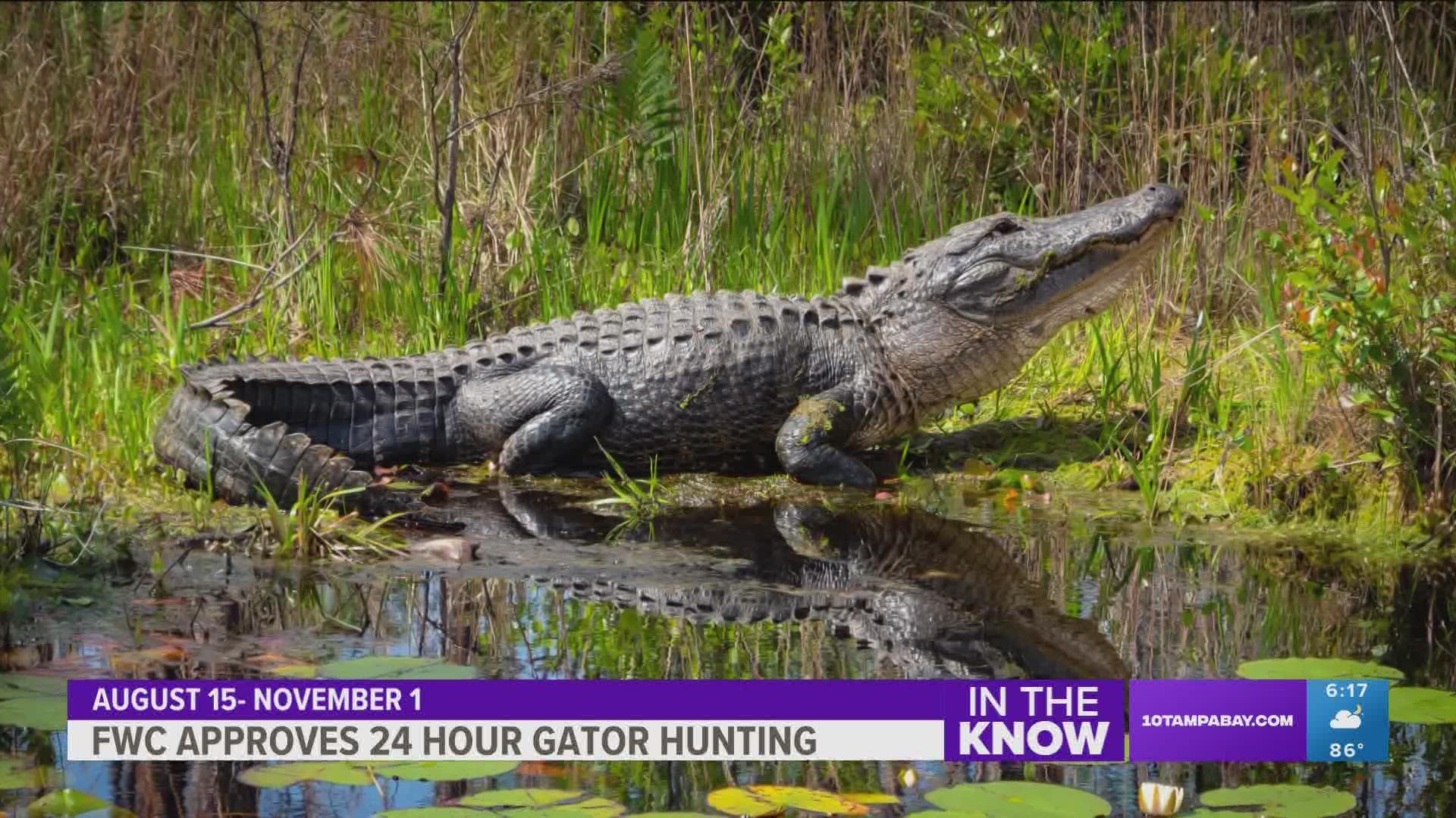 Permitted hunters will now have a longer time and new ways to capture an alligator.
