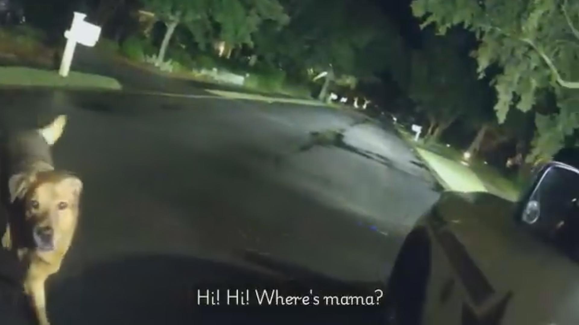 A Florida dog is being hailed as a "good boy" after video shows him aiding a deputy in finding an elderly woman who had fallen on the sidewalk.